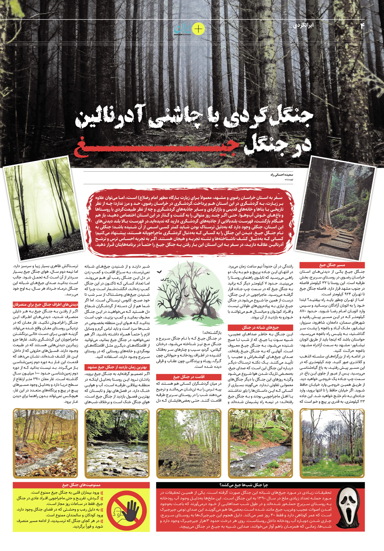 روزنامه ایران - ویژه نامه پلاس۸۱۵۳ - ۱۴ فروردین ۱۴۰۲ - صفحه ۴