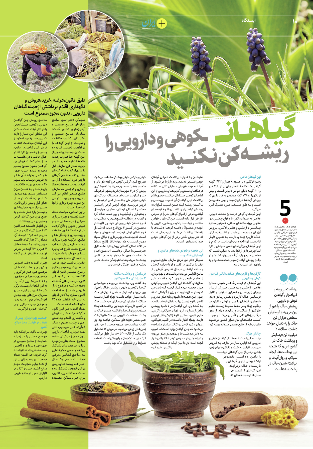 روزنامه ایران - ویژه نامه پلاس۸۱۶۰ - ۲۲ فروردین ۱۴۰۲ - صفحه ۱۰