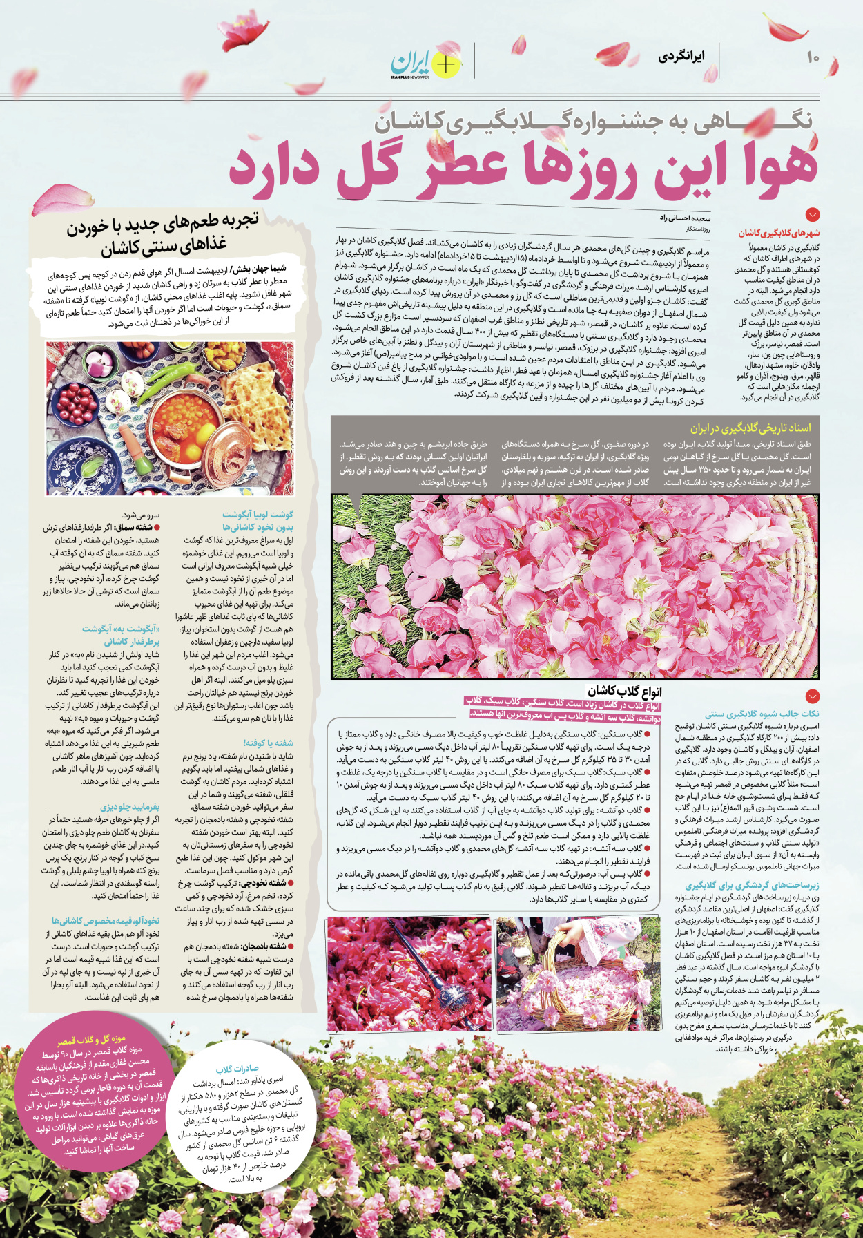 روزنامه ایران - ویژه نامه پلاس۸۱۷۸ - ۱۷ اردیبهشت ۱۴۰۲ - صفحه ۱۰