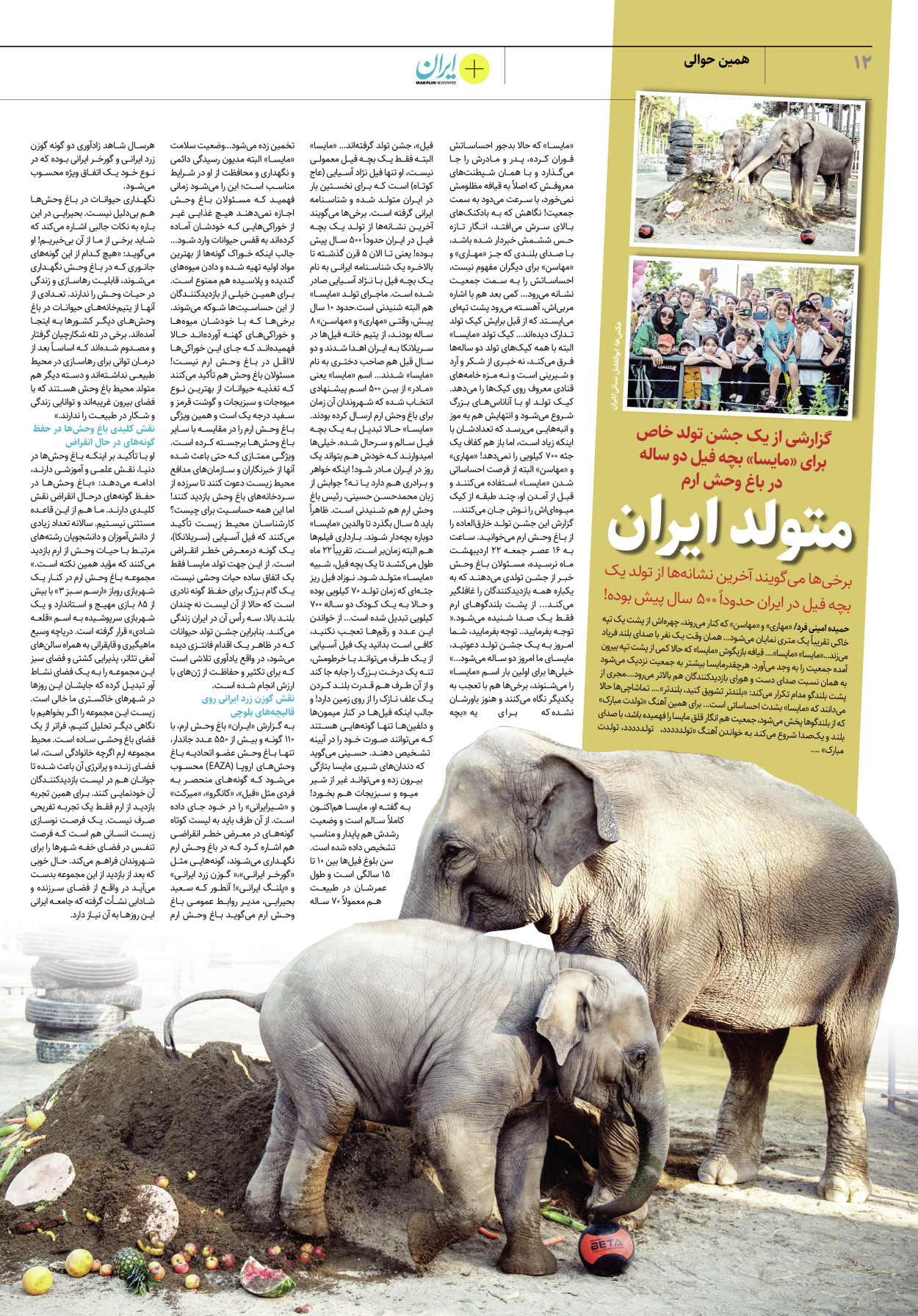 روزنامه ایران - ویژه نامه پلاس۸۱۸۵ - ۲۵ اردیبهشت ۱۴۰۲ - صفحه ۱۲