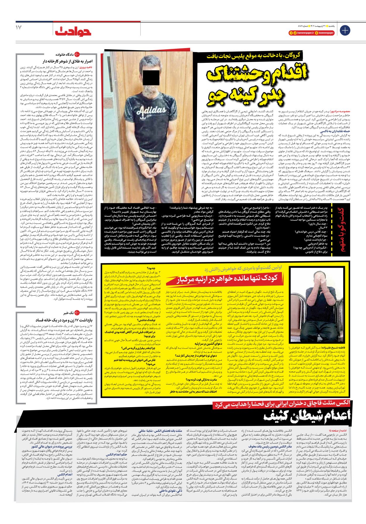 روزنامه ایران - شماره هشت هزار و صد و هشتاد و نه - ۳۱ اردیبهشت ۱۴۰۲ - صفحه ۱۷