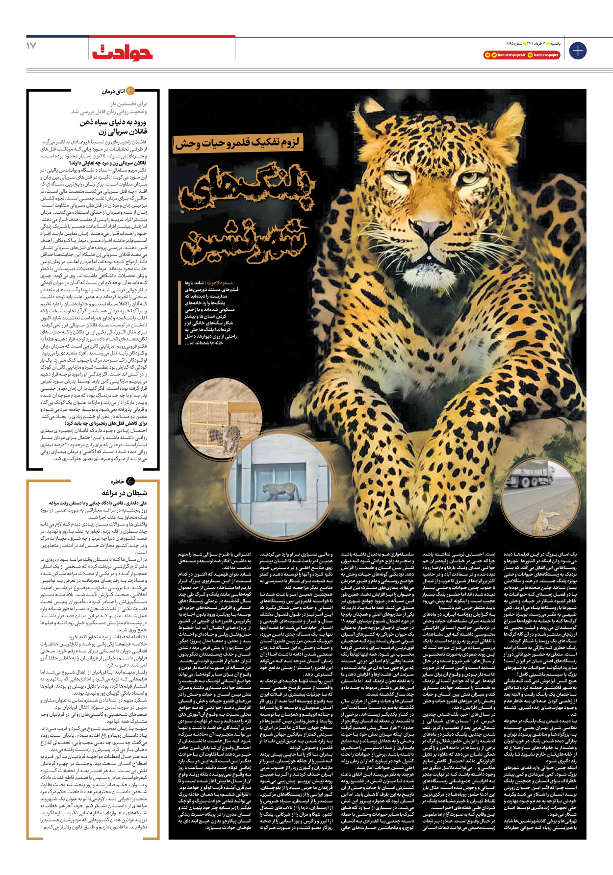 روزنامه ایران - شماره هشت هزار و صد و نود و پنج - ۰۷ خرداد ۱۴۰۲ - صفحه ۱۷