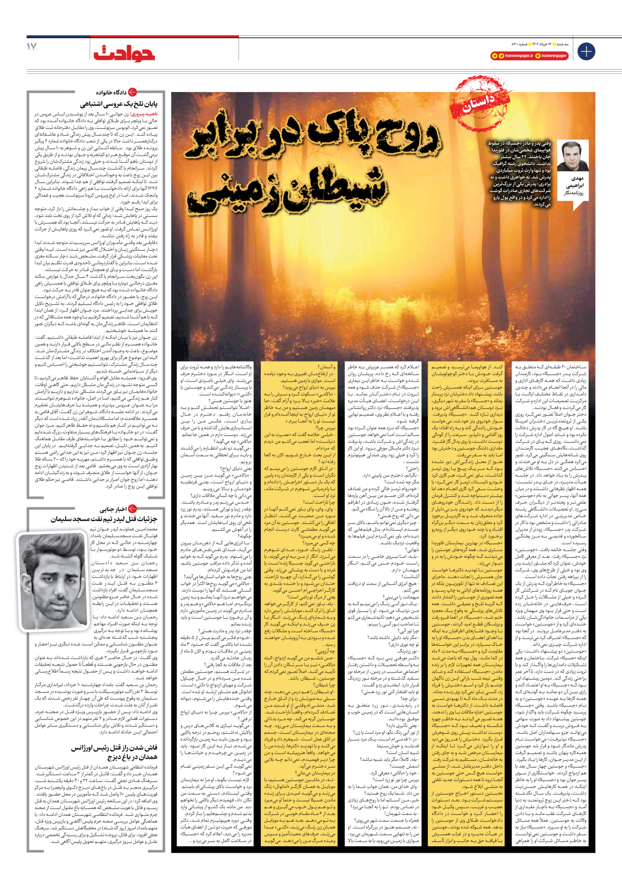 روزنامه ایران - شماره هشت هزار و دویست - ۱۶ خرداد ۱۴۰۲ - صفحه ۱۷