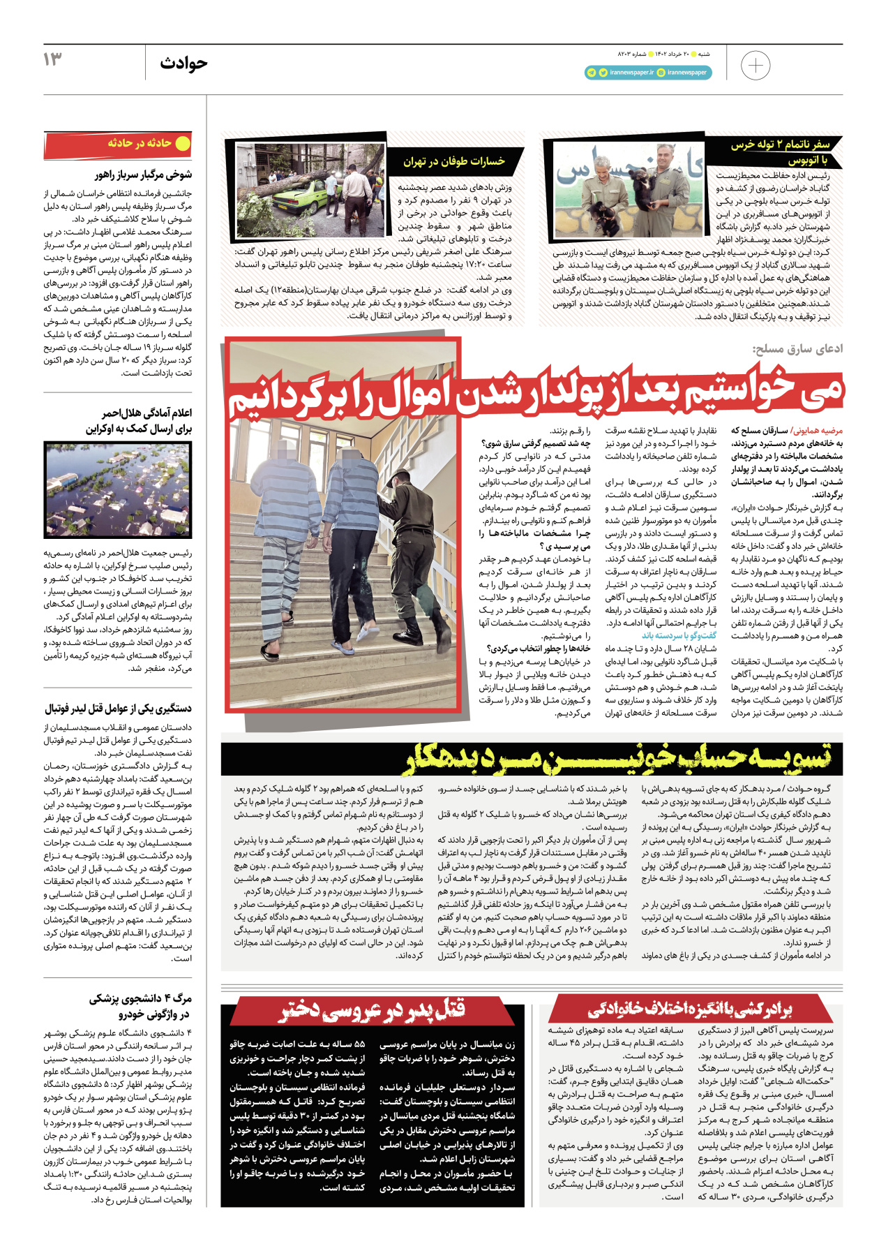 روزنامه ایران - ویژه نامه پلاس۸۲۰۳ - ۲۰ خرداد ۱۴۰۲ - صفحه ۱۳
