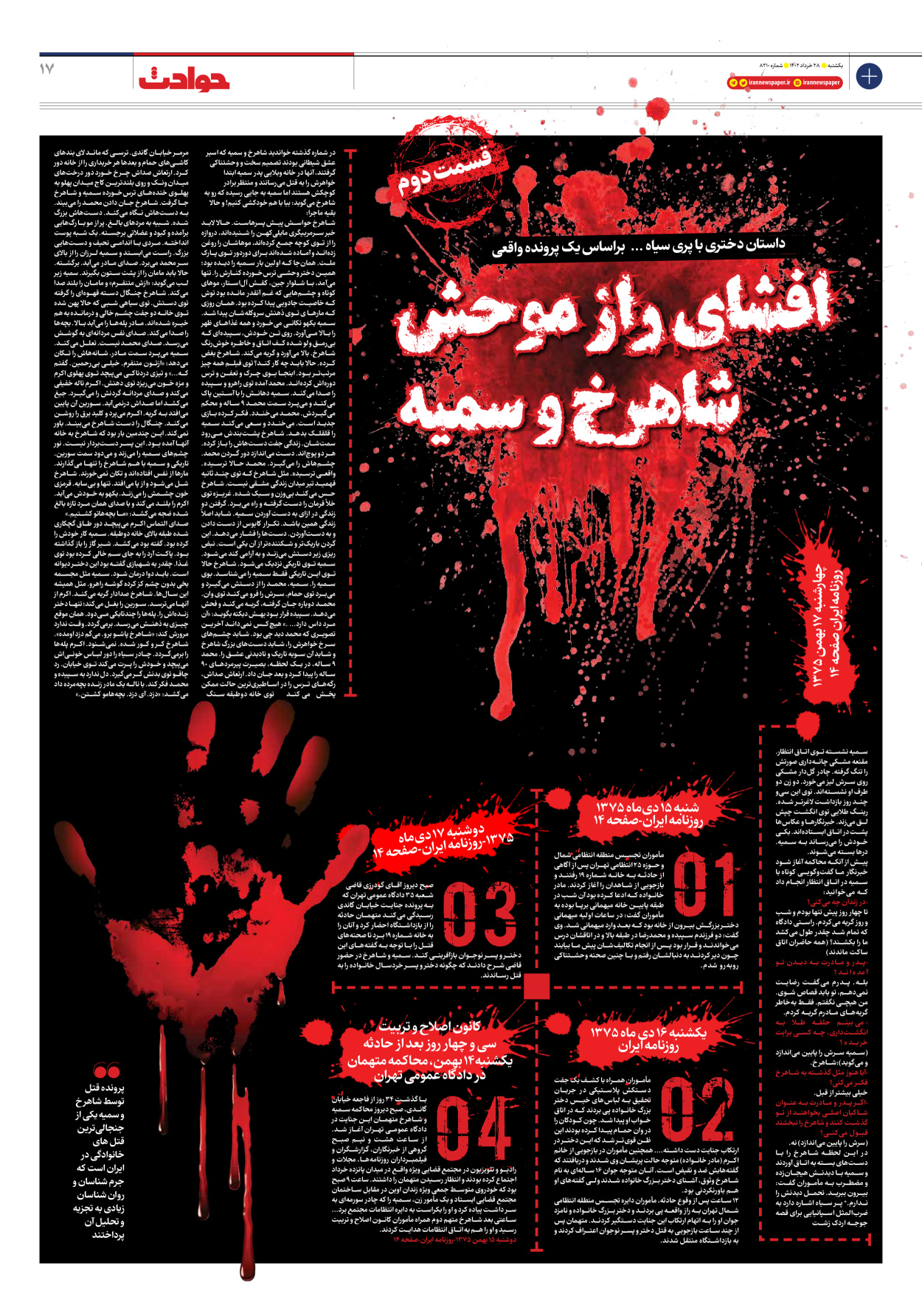 روزنامه ایران - شماره هشت هزار و دویست و ده - ۲۸ خرداد ۱۴۰۲ - صفحه ۱۷