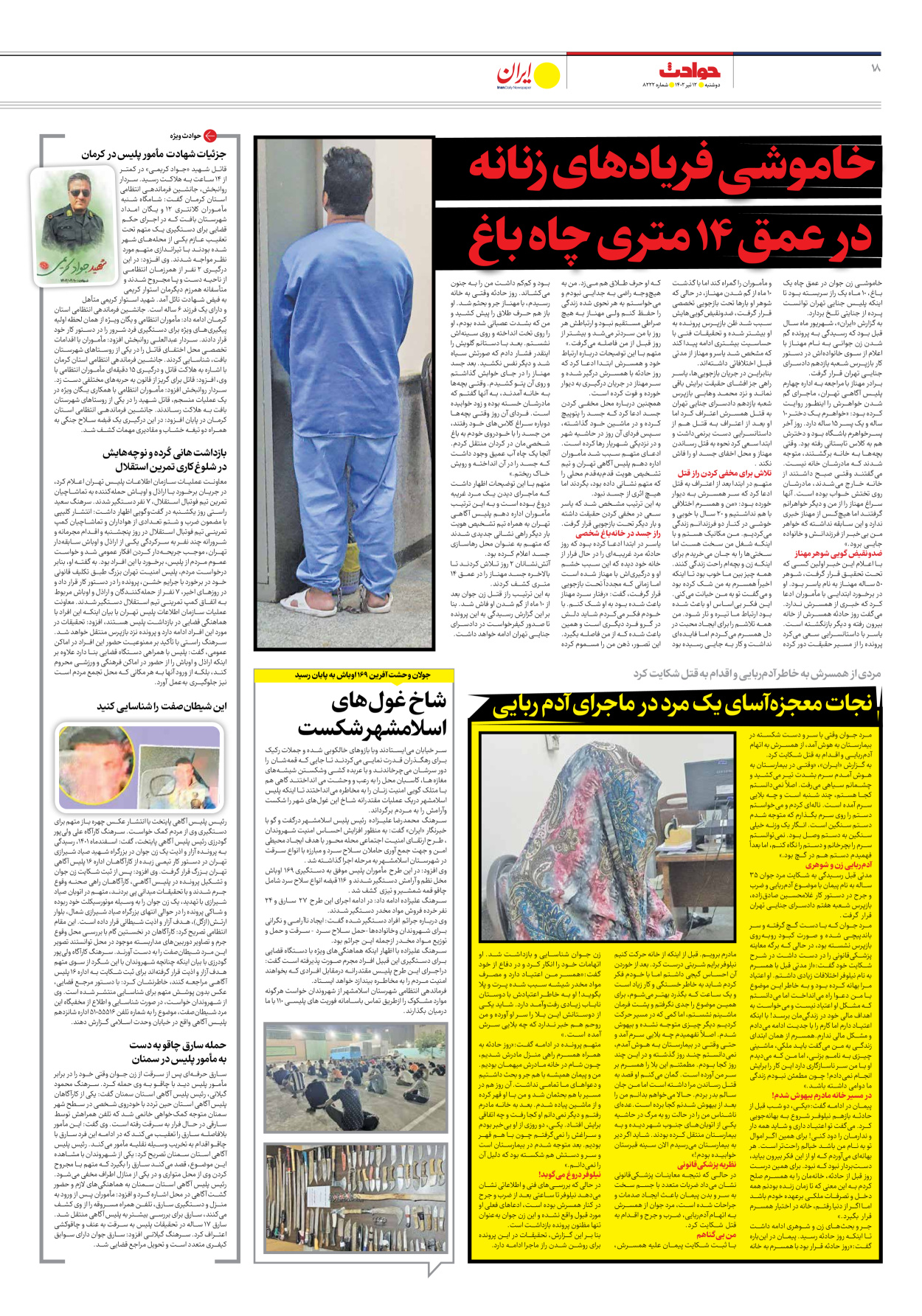 روزنامه ایران - شماره هشت هزار و دویست و بیست و دو - ۱۲ تیر ۱۴۰۲ - صفحه ۱۸