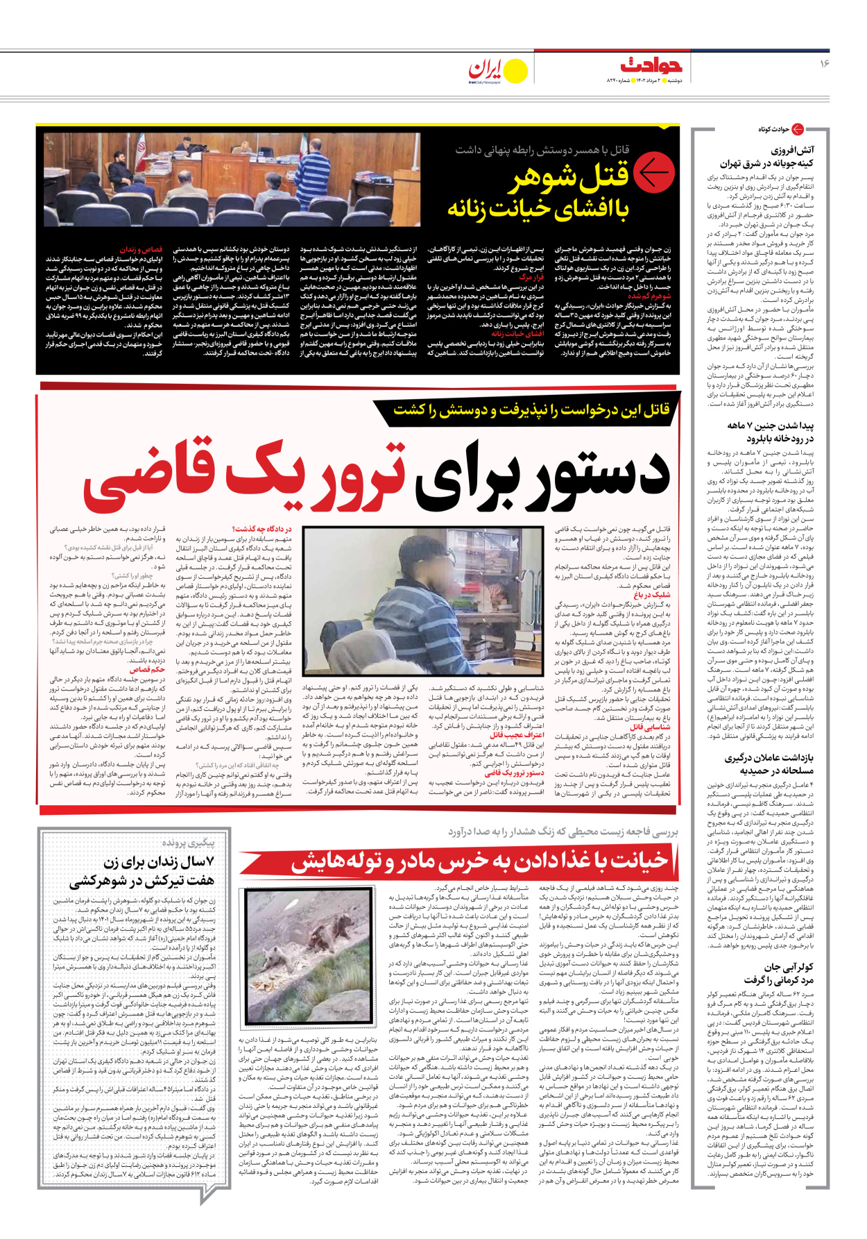 روزنامه ایران - شماره هشت هزار و دویست و چهل - ۰۲ مرداد ۱۴۰۲ - صفحه ۱۶