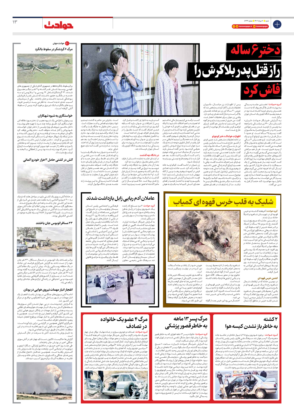 روزنامه ایران - شماره هشت هزار و دویست و چهل و سه - ۰۷ مرداد ۱۴۰۲ - صفحه ۱۳