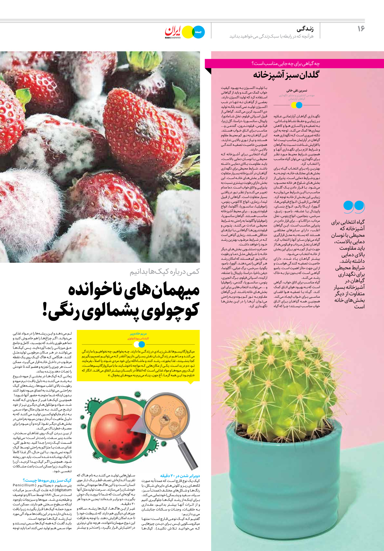 روزنامه ایران - ویژه نامه جمعه ۳۷ - ۱۹ مرداد ۱۴۰۲ - صفحه ۱۶