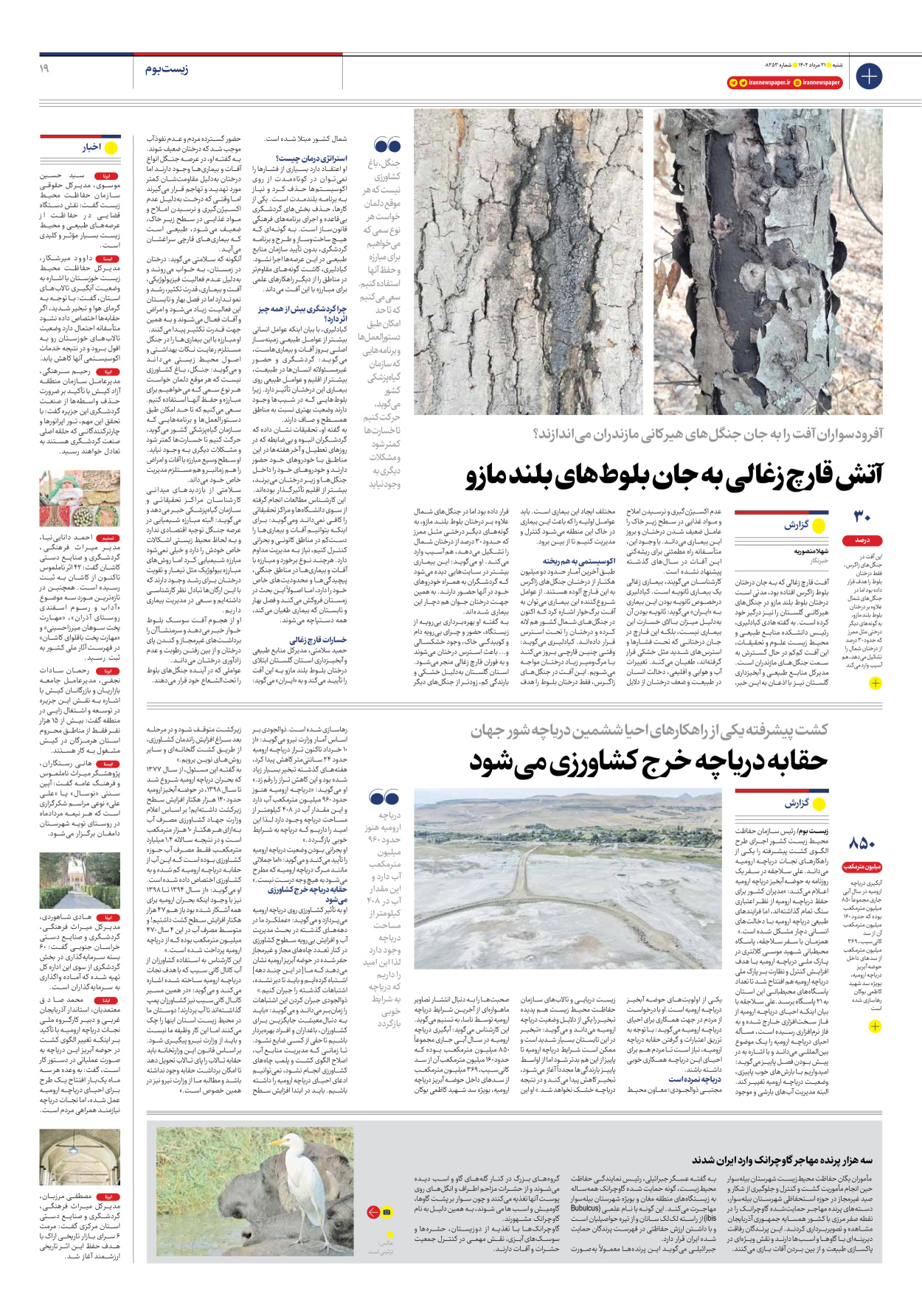 روزنامه ایران - شماره هشت هزار و دویست و پنجاه و سه - ۲۱ مرداد ۱۴۰۲ - صفحه ۱۹