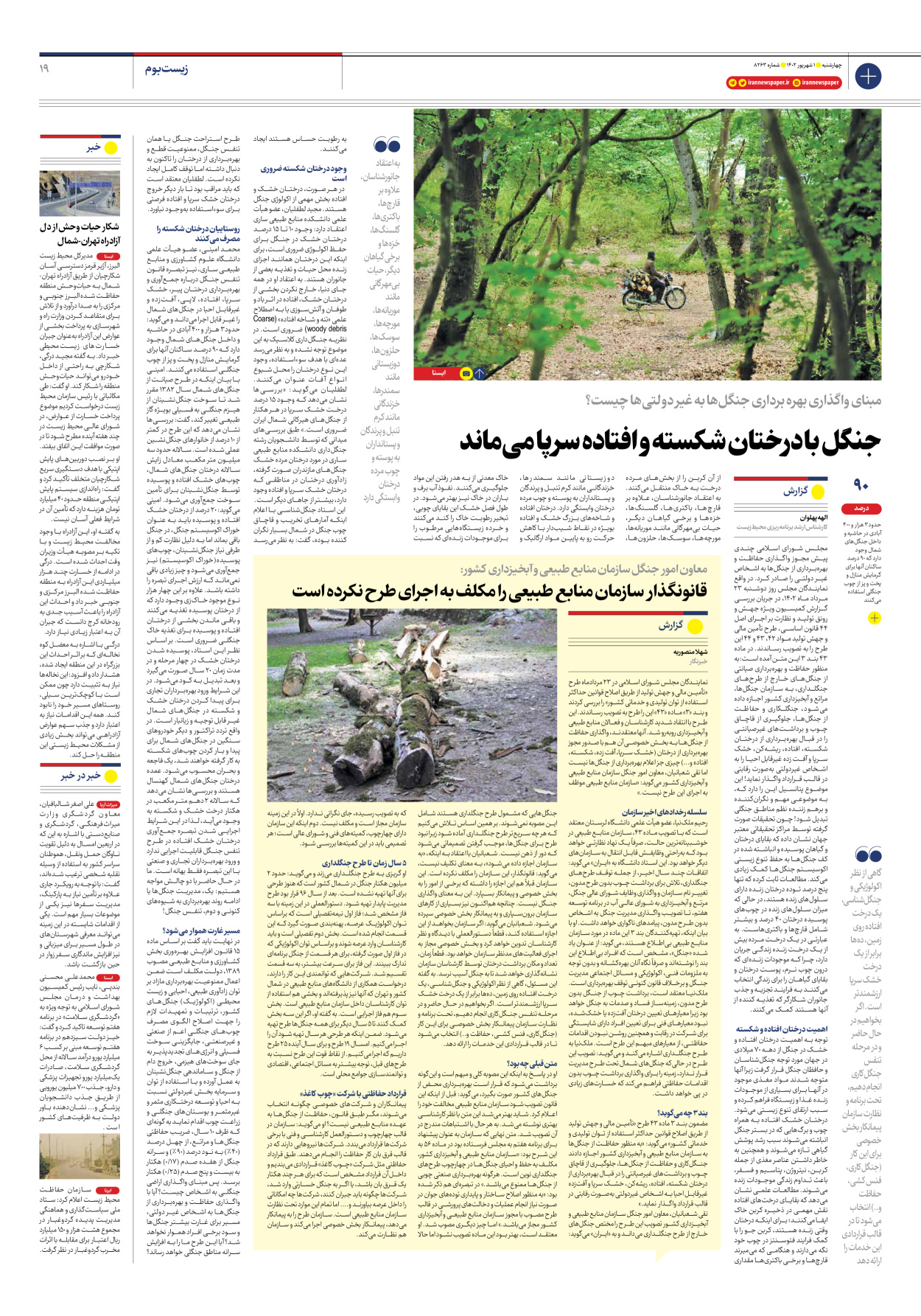 روزنامه ایران - شماره هشت هزار و دویست و شصت و سه - ۰۱ شهریور ۱۴۰۲ - صفحه ۱۹