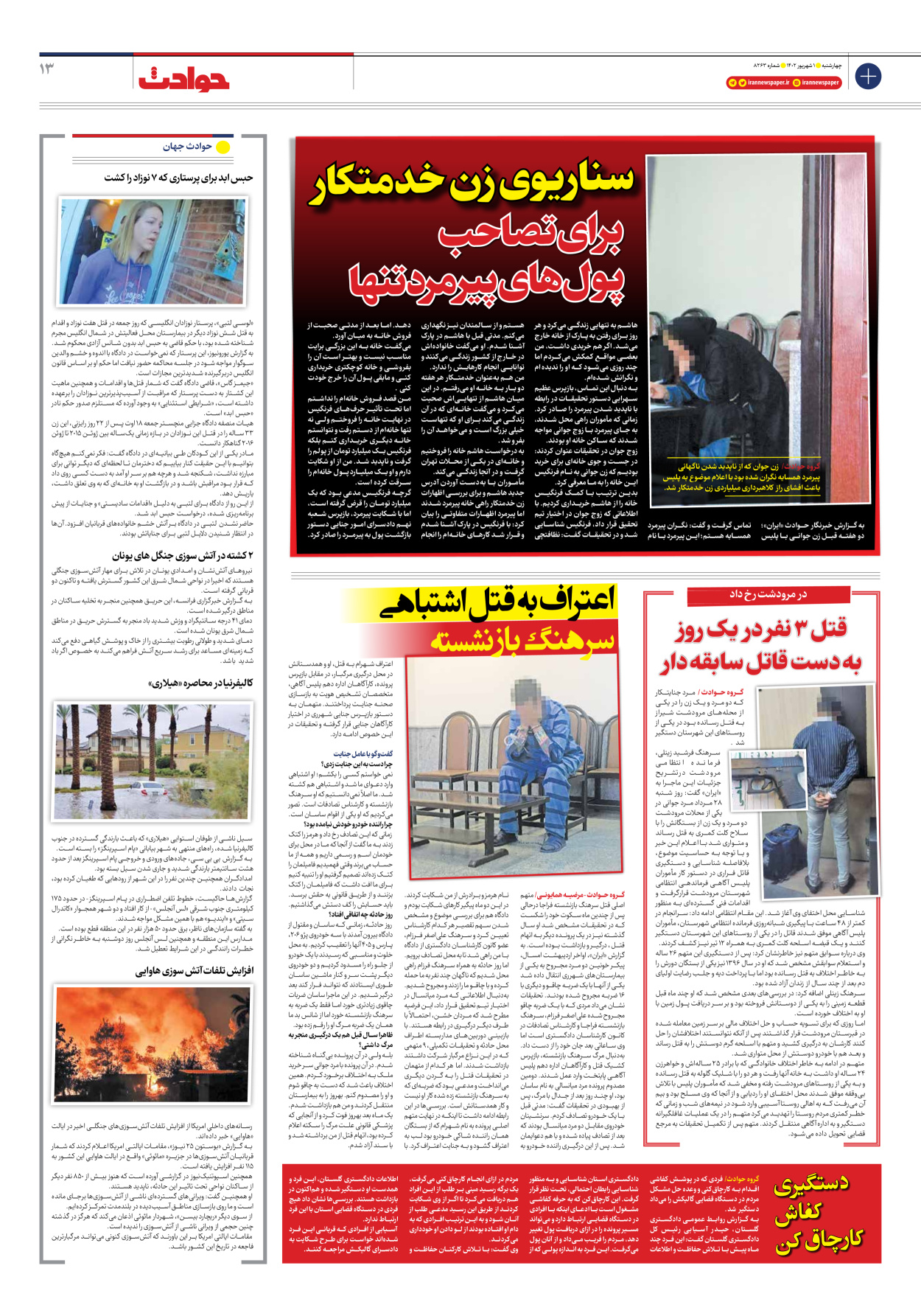 روزنامه ایران - شماره هشت هزار و دویست و شصت و سه - ۰۱ شهریور ۱۴۰۲ - صفحه ۱۳