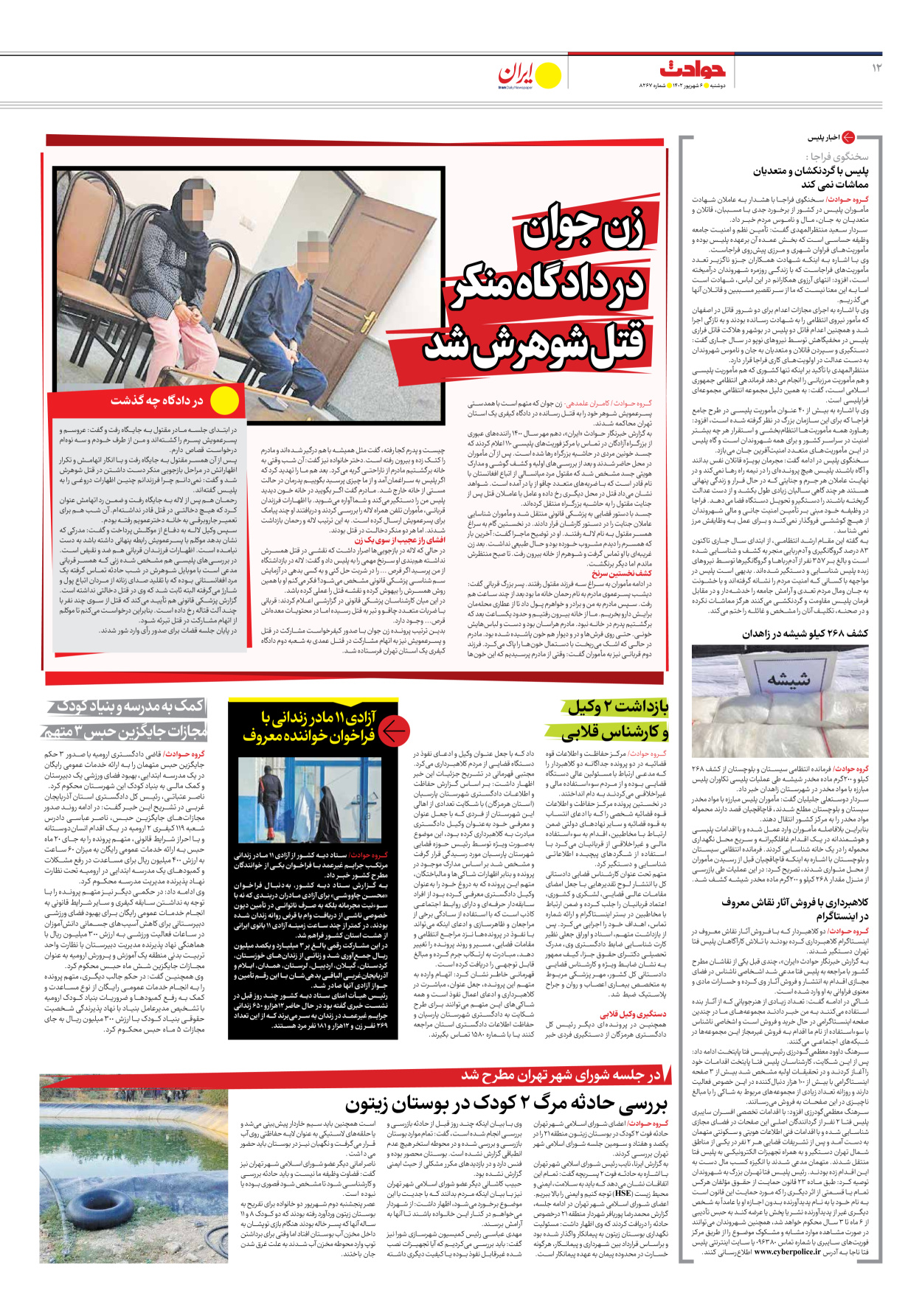 روزنامه ایران - شماره هشت هزار و دویست و شصت و هفت - ۰۶ شهریور ۱۴۰۲ - صفحه ۱۲