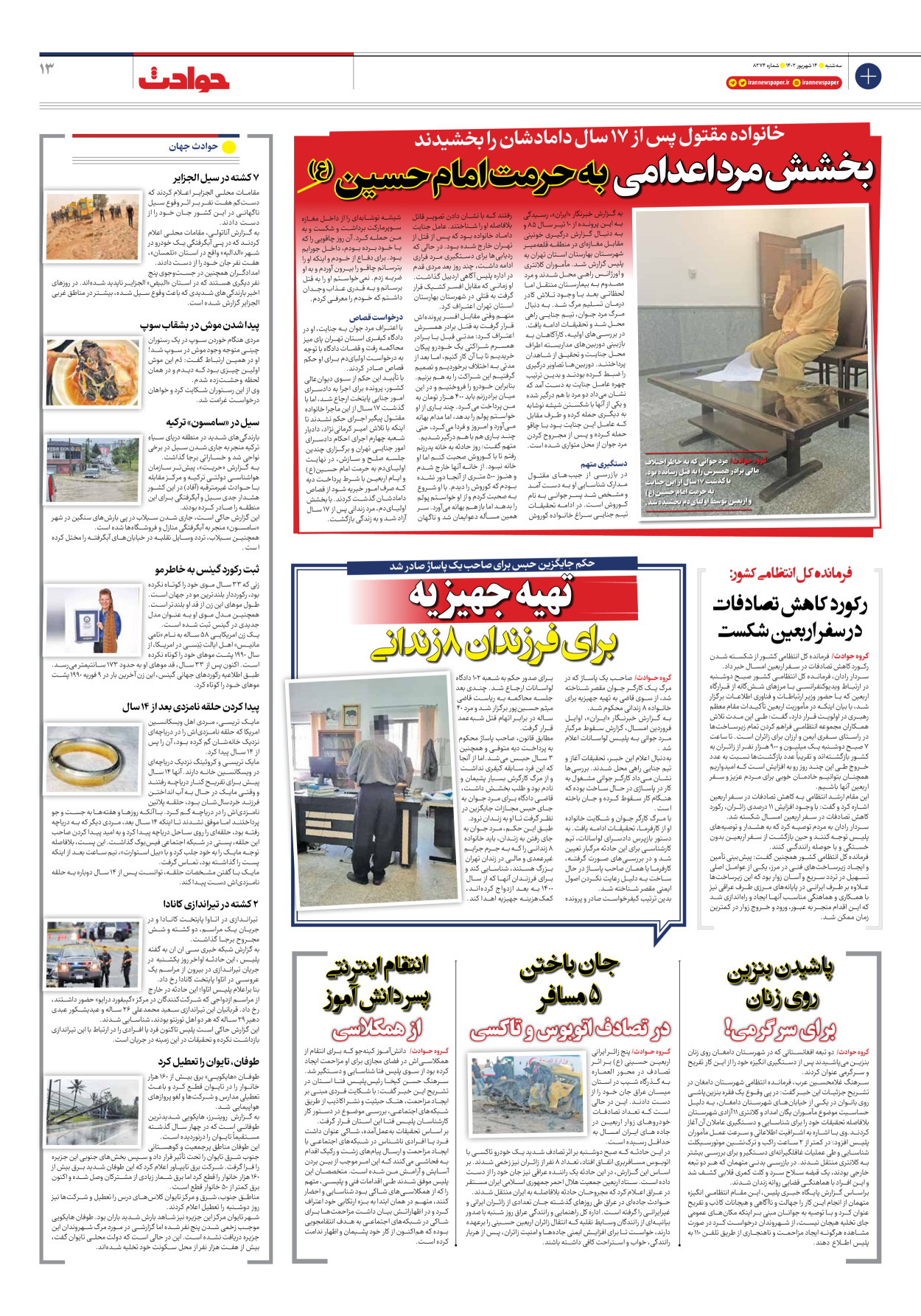روزنامه ایران - شماره هشت هزار و دویست و هفتاد و چهار - ۱۴ شهریور ۱۴۰۲ - صفحه ۱۳