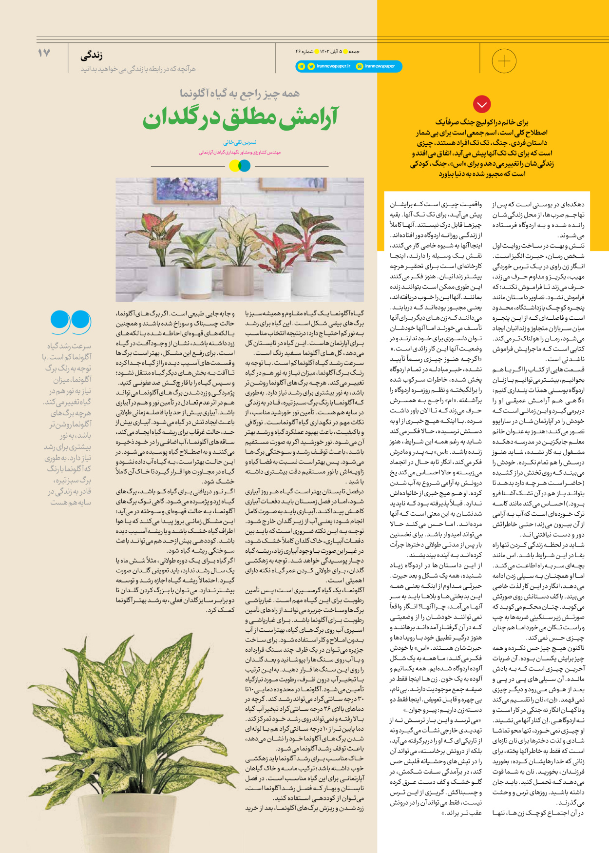 روزنامه ایران - ویژه نامه جمعه ۴۶ - ۰۴ آبان ۱۴۰۲ - صفحه ۱۷