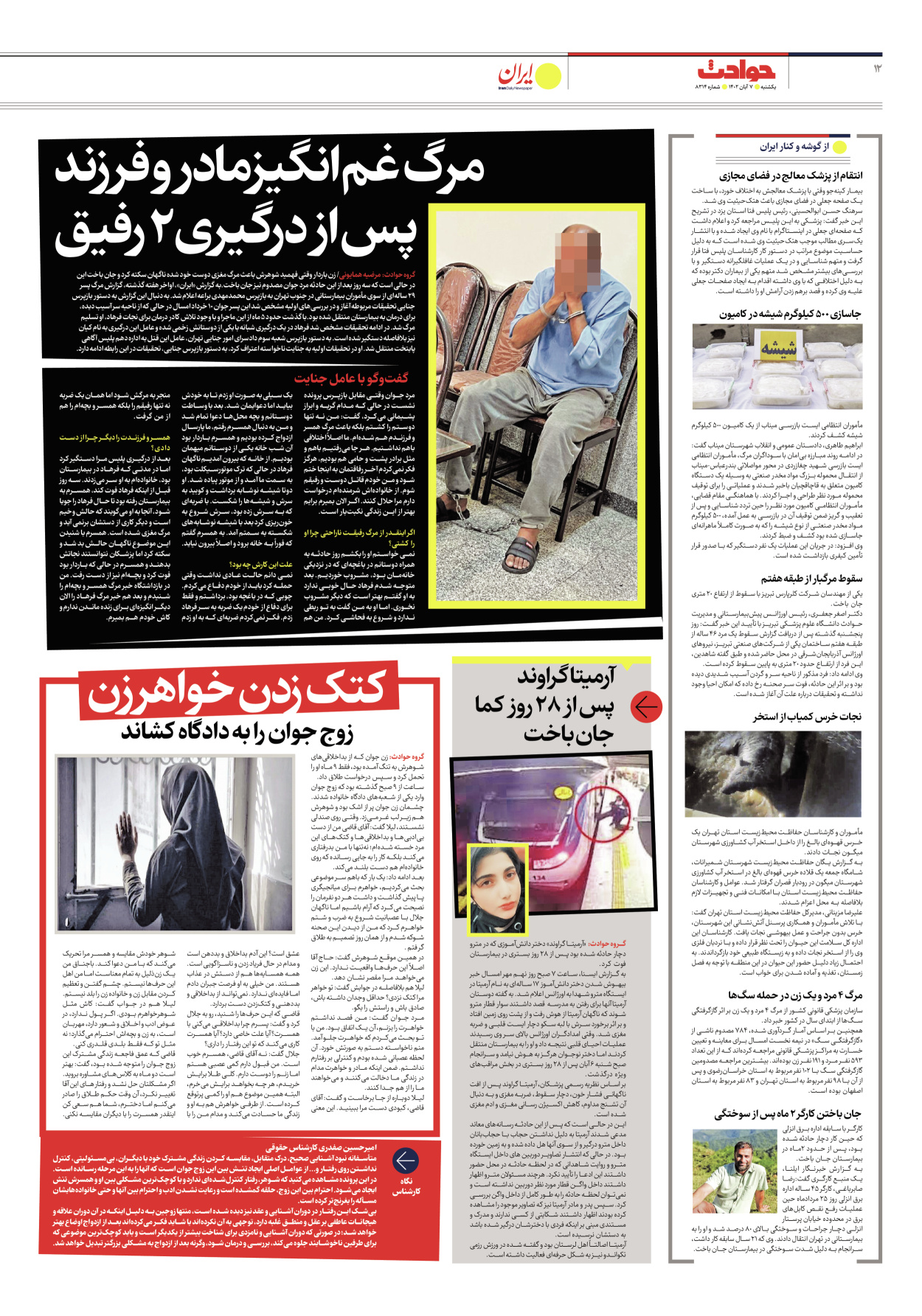 روزنامه ایران - شماره هشت هزار و سیصد و چهارده - ۰۷ آبان ۱۴۰۲ - صفحه ۱۲