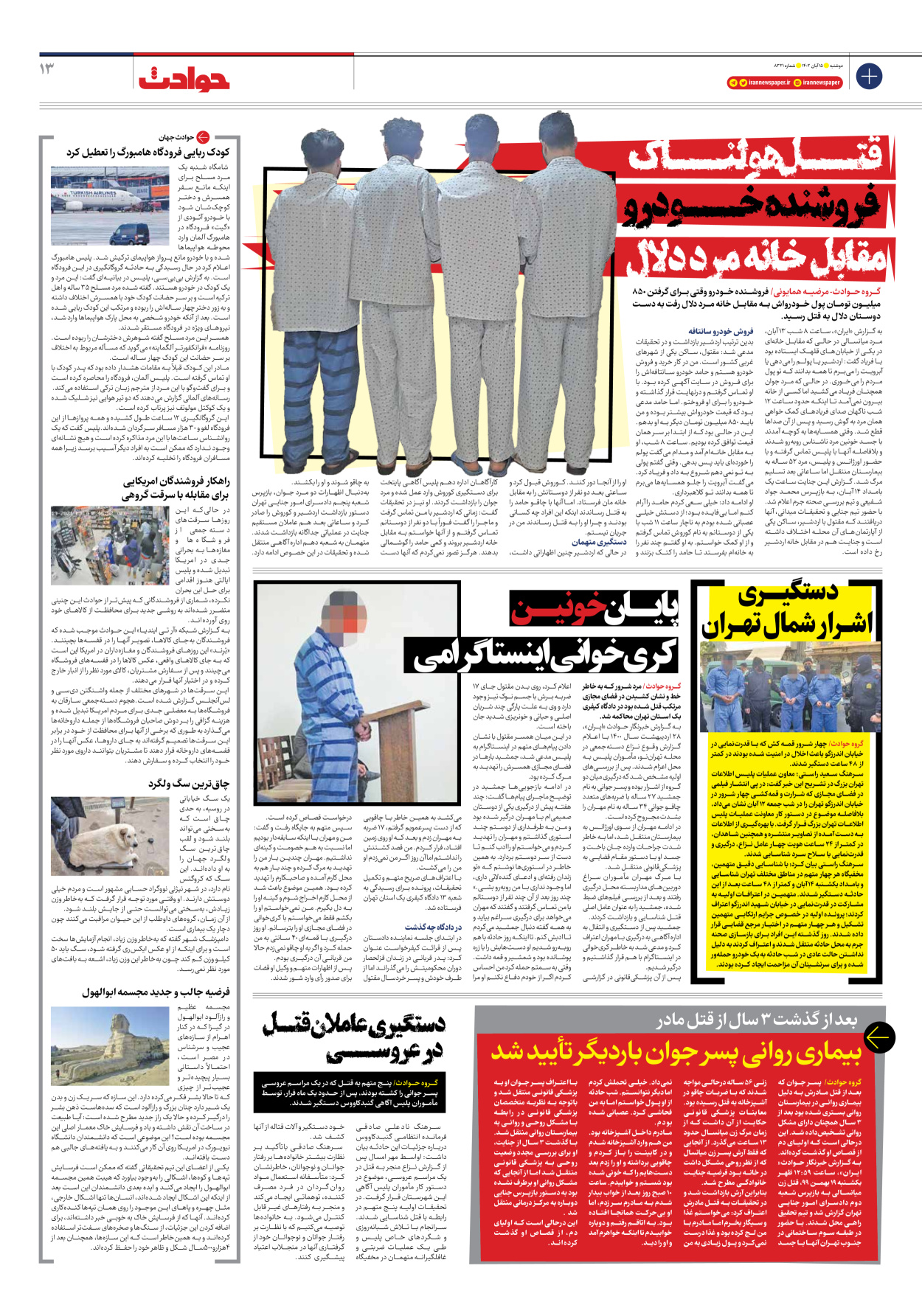 روزنامه ایران - شماره هشت هزار و سیصد و بیست و یک - ۱۵ آبان ۱۴۰۲ - صفحه ۱۳