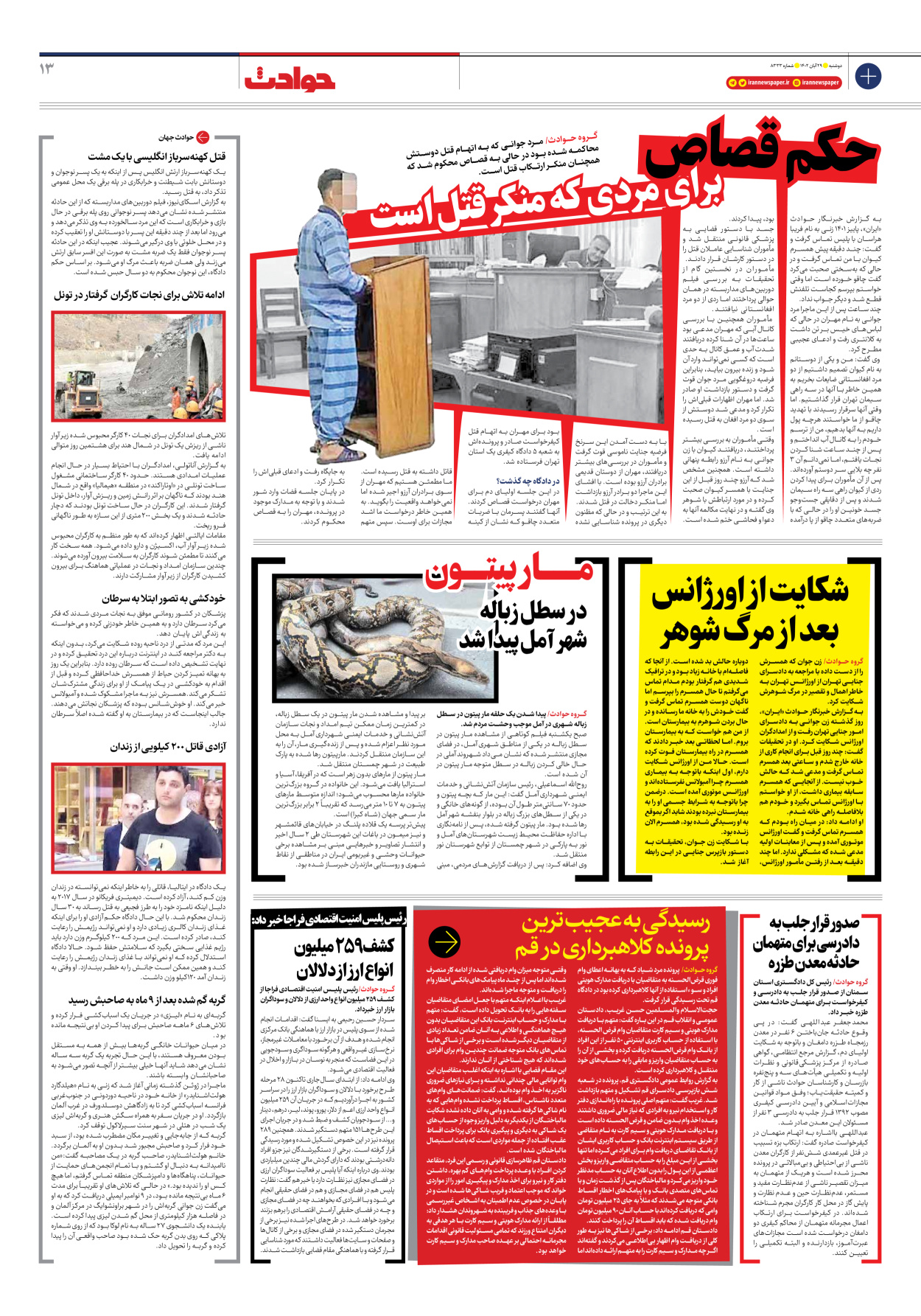 روزنامه ایران - شماره هشت هزار و سیصد و سی و سه - ۲۹ آبان ۱۴۰۲ - صفحه ۱۳