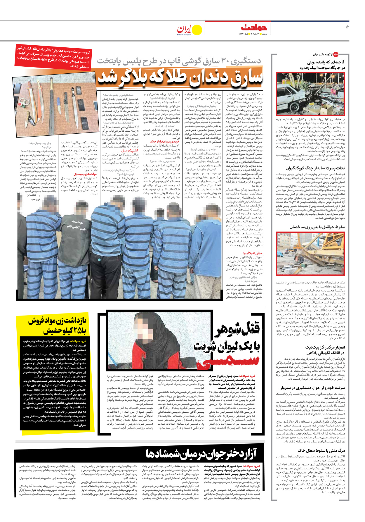 روزنامه ایران - شماره هشت هزار و سیصد و سی و سه - ۲۹ آبان ۱۴۰۲ - صفحه ۱۲