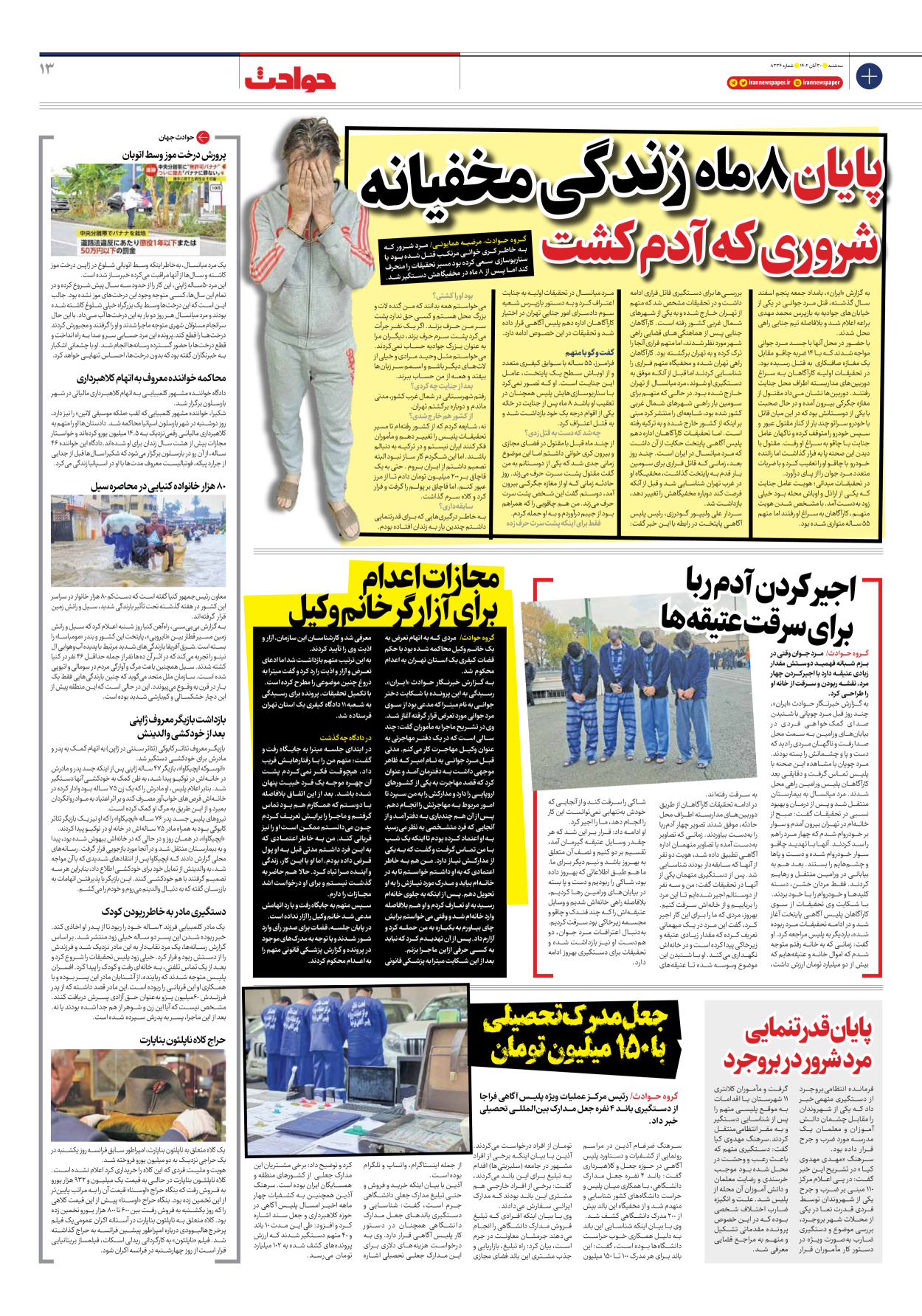 روزنامه ایران - شماره هشت هزار و سیصد و سی و چهار - ۳۰ آبان ۱۴۰۲ - صفحه ۱۳