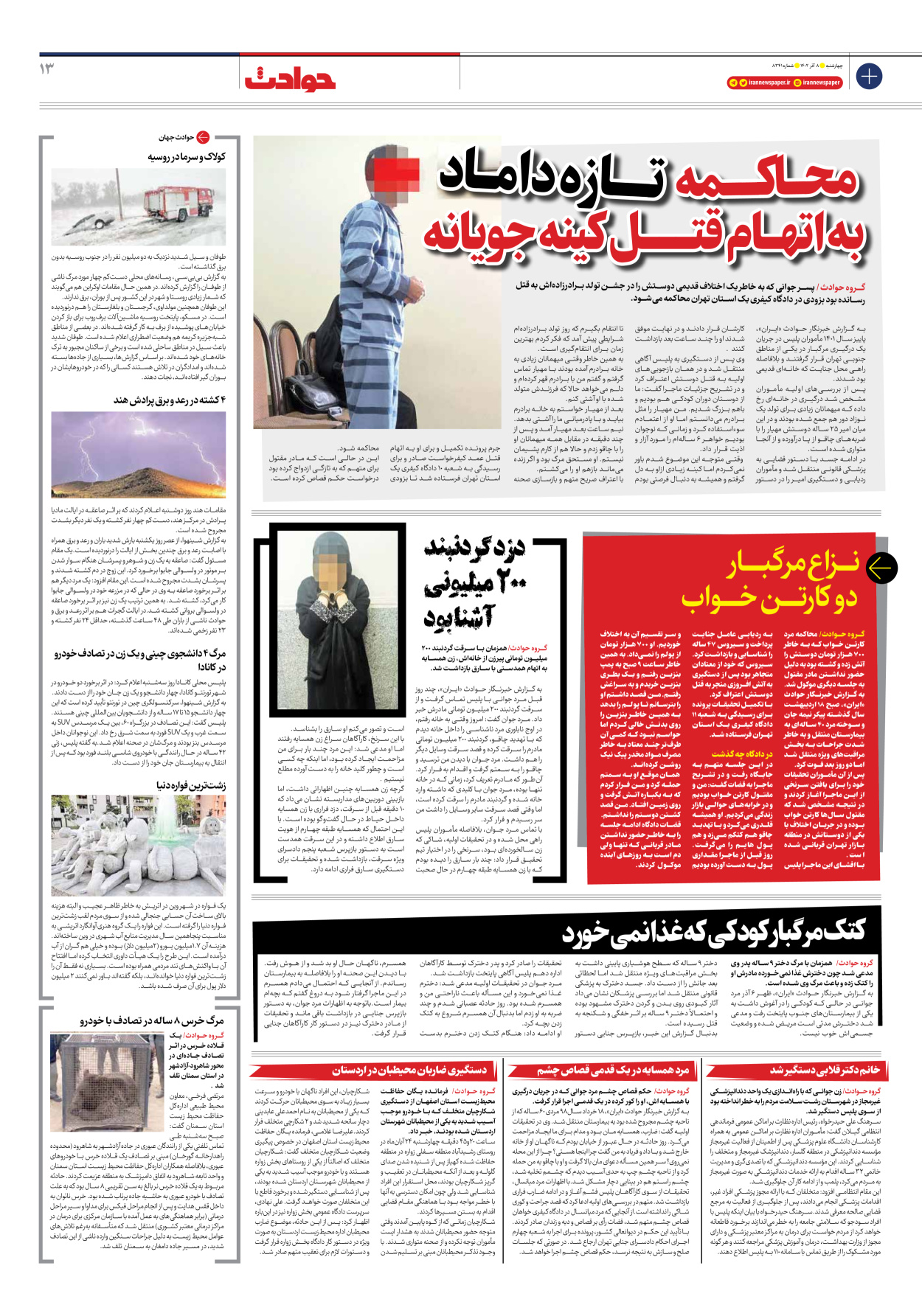 روزنامه ایران - شماره هشت هزار و سیصد و چهل و یک - ۰۸ آذر ۱۴۰۲ - صفحه ۱۳