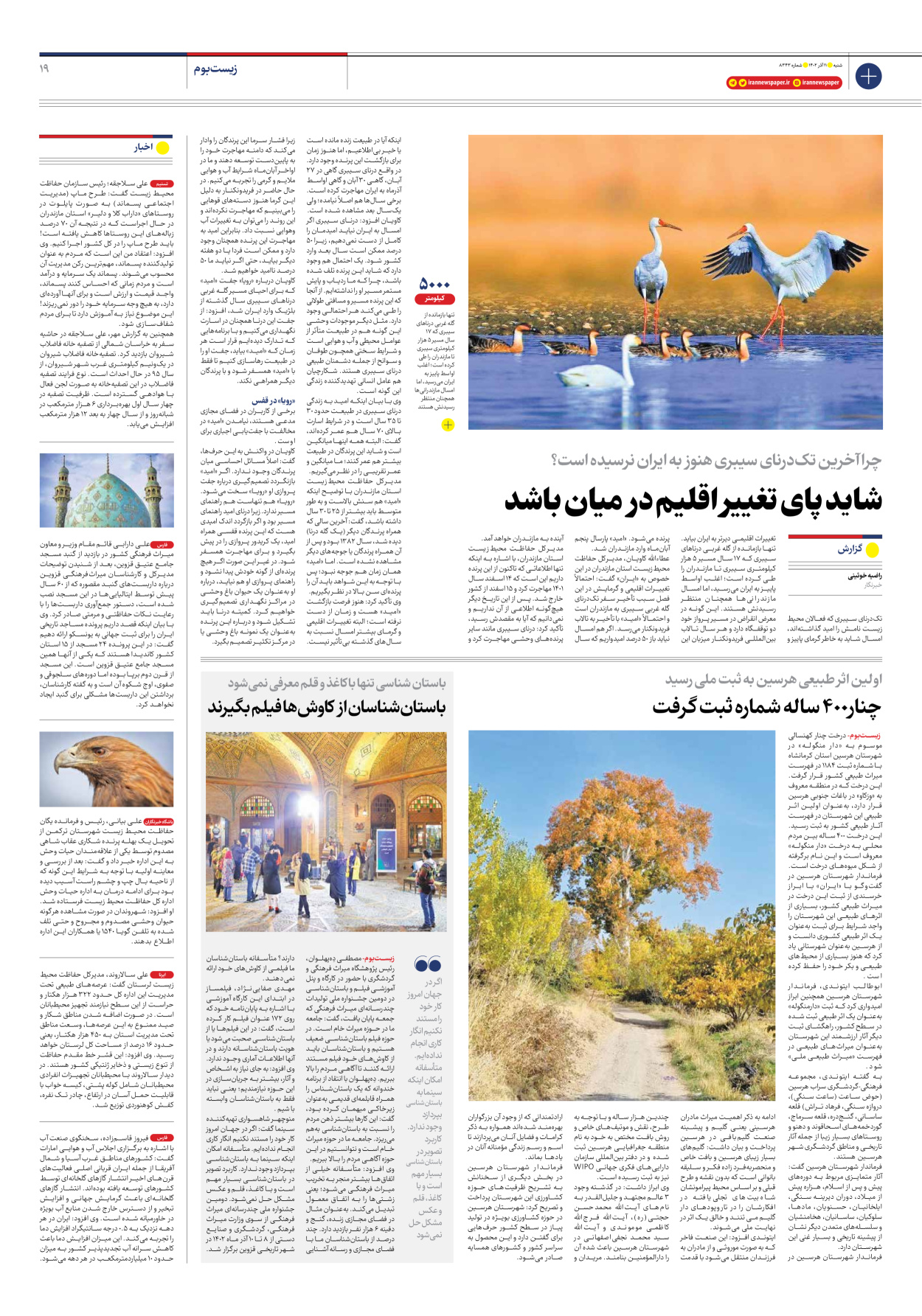 روزنامه ایران - شماره هشت هزار و سیصد و چهل و سه - ۱۱ آذر ۱۴۰۲ - صفحه ۱۹