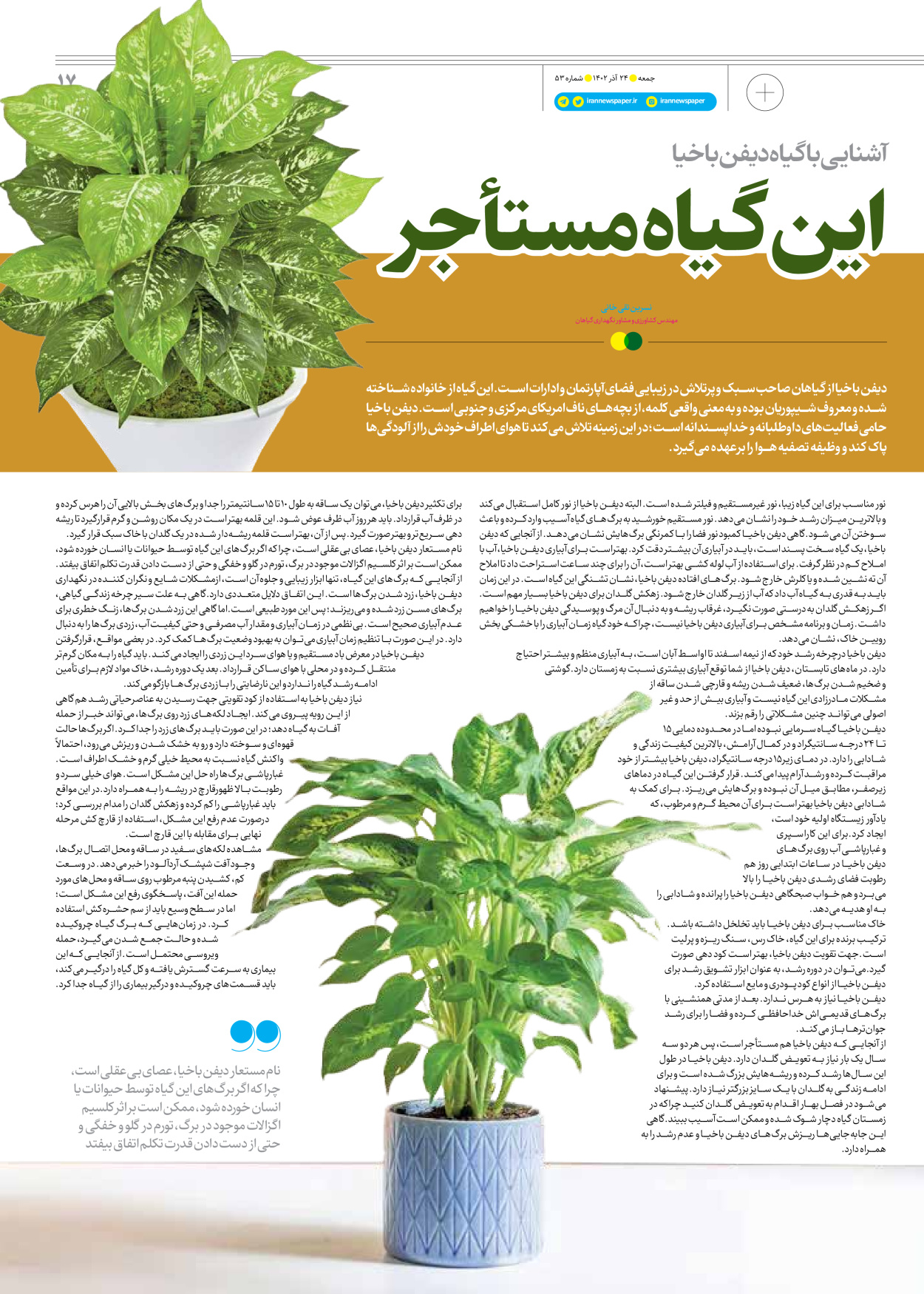 روزنامه ایران - ویژه نامه جمعه ۵۳ - ۲۳ آذر ۱۴۰۲ - صفحه ۱۷