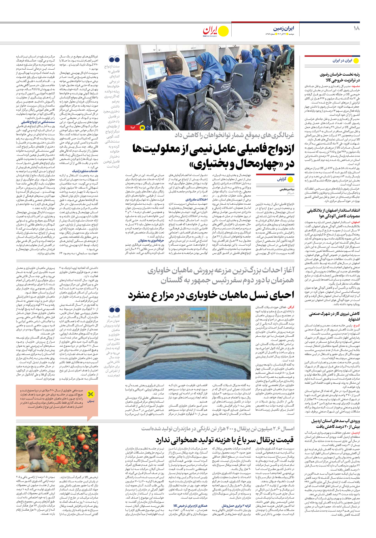 روزنامه ایران - شماره هشت هزار و سیصد و پنجاه و شش - ۲۷ آذر ۱۴۰۲ - صفحه ۱۸