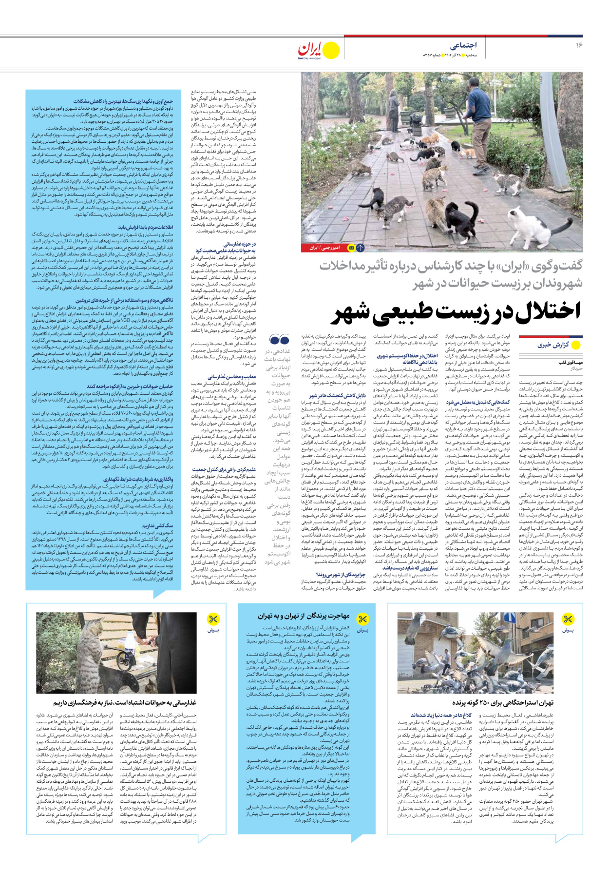 روزنامه ایران - شماره هشت هزار و سیصد و پنجاه و هفت - ۲۸ آذر ۱۴۰۲ - صفحه ۱۶