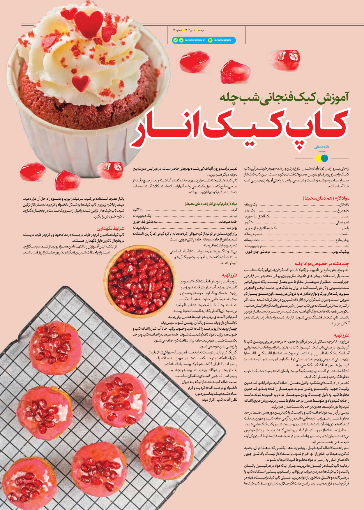 روزنامه ایران - ویژه نامه جمعه ۵۴ - ۳۰ آذر ۱۴۰۲ - صفحه ۲۱