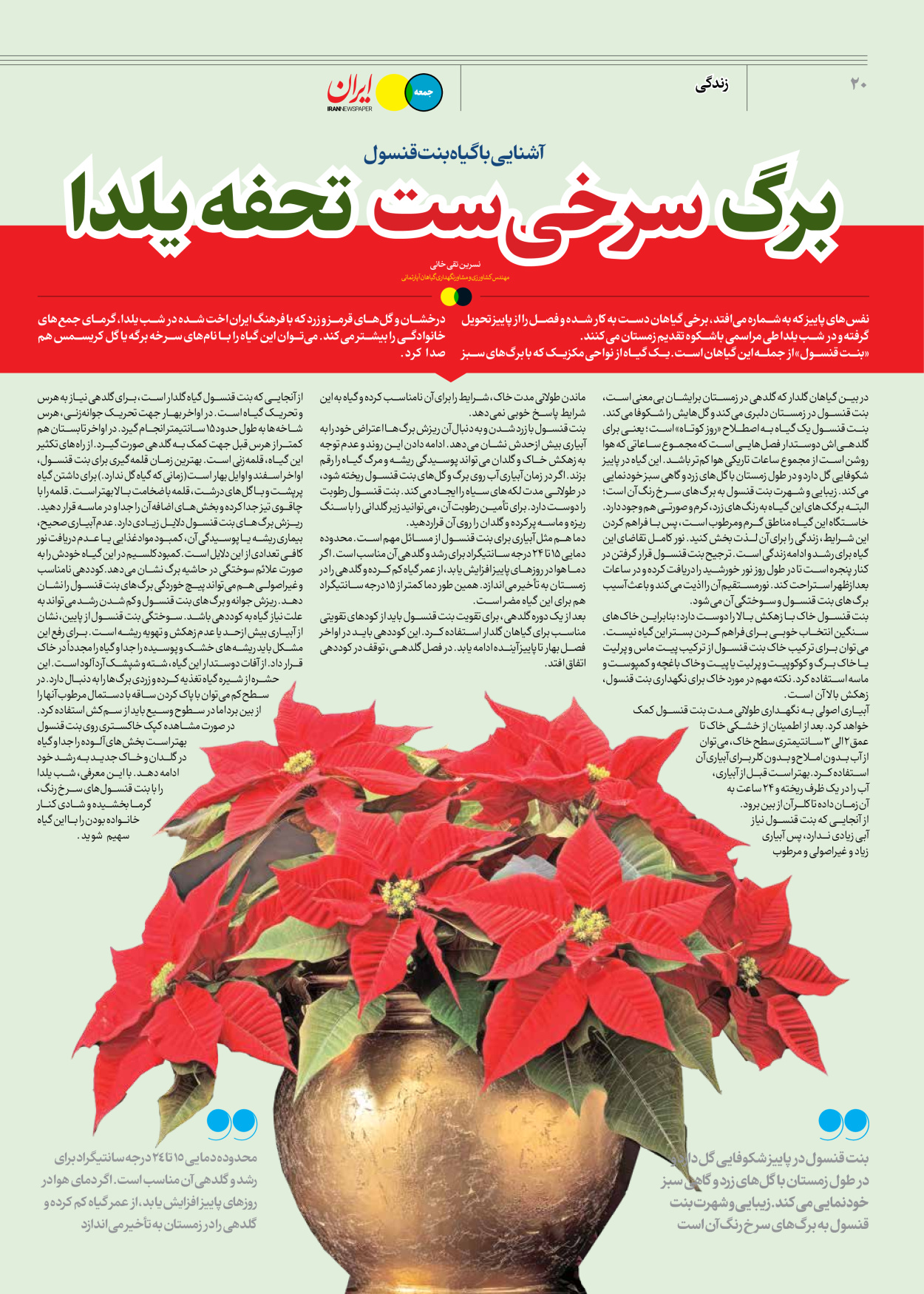 روزنامه ایران - ویژه نامه جمعه ۵۴ - ۳۰ آذر ۱۴۰۲ - صفحه ۲۰