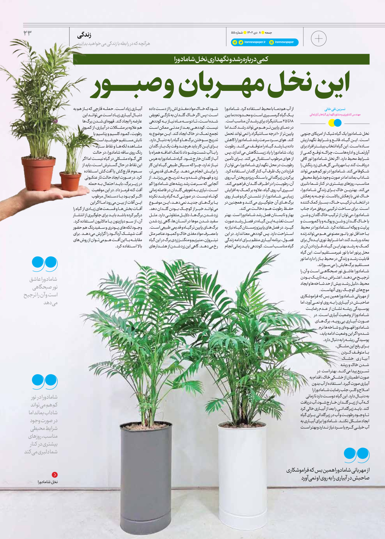 روزنامه ایران - ویژه نامه جمعه ۵۵ - ۰۷ دی ۱۴۰۲ - صفحه ۲۳