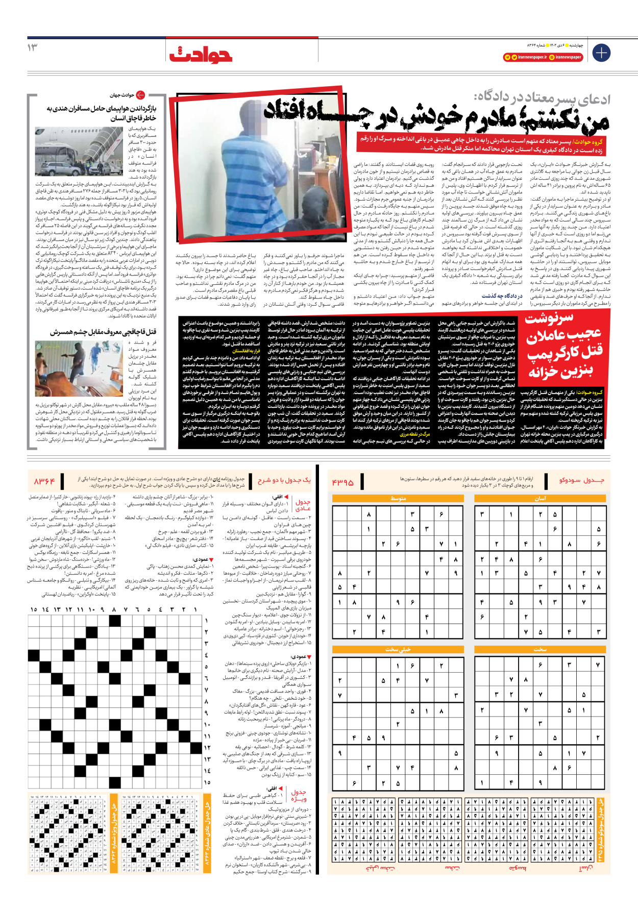 روزنامه ایران - شماره هشت هزار و سیصد و شصت و چهار - ۰۶ دی ۱۴۰۲ - صفحه ۱۳