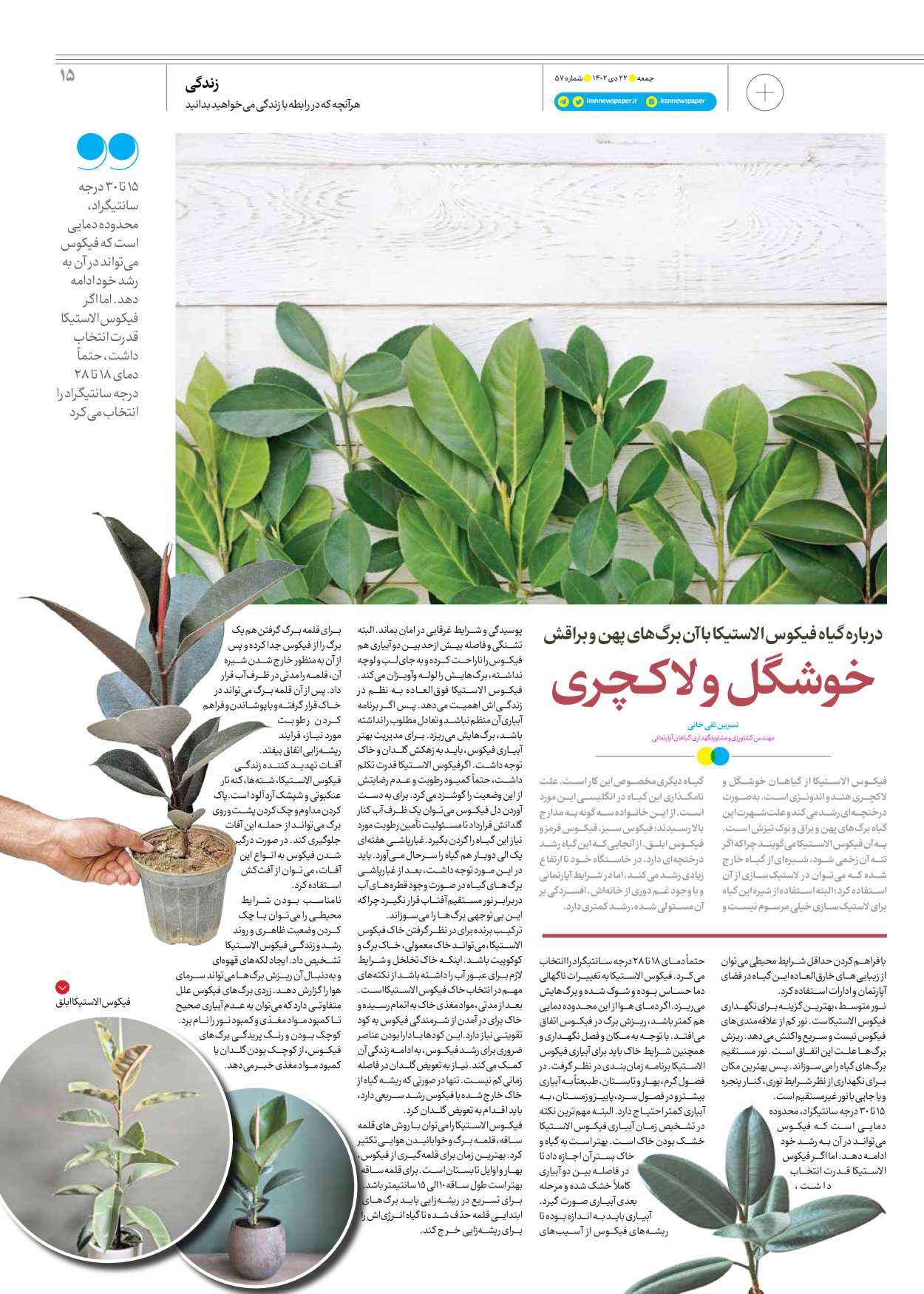 روزنامه ایران - ویژه نامه جمعه ۵۷ - ۲۱ دی ۱۴۰۲ - صفحه ۱۵