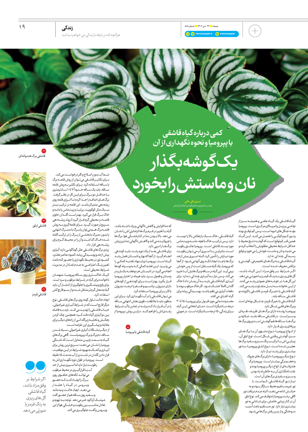 روزنامه ایران - ویژه نامه جمعه ۵۸ - ۲۸ دی ۱۴۰۲ - صفحه ۱۹