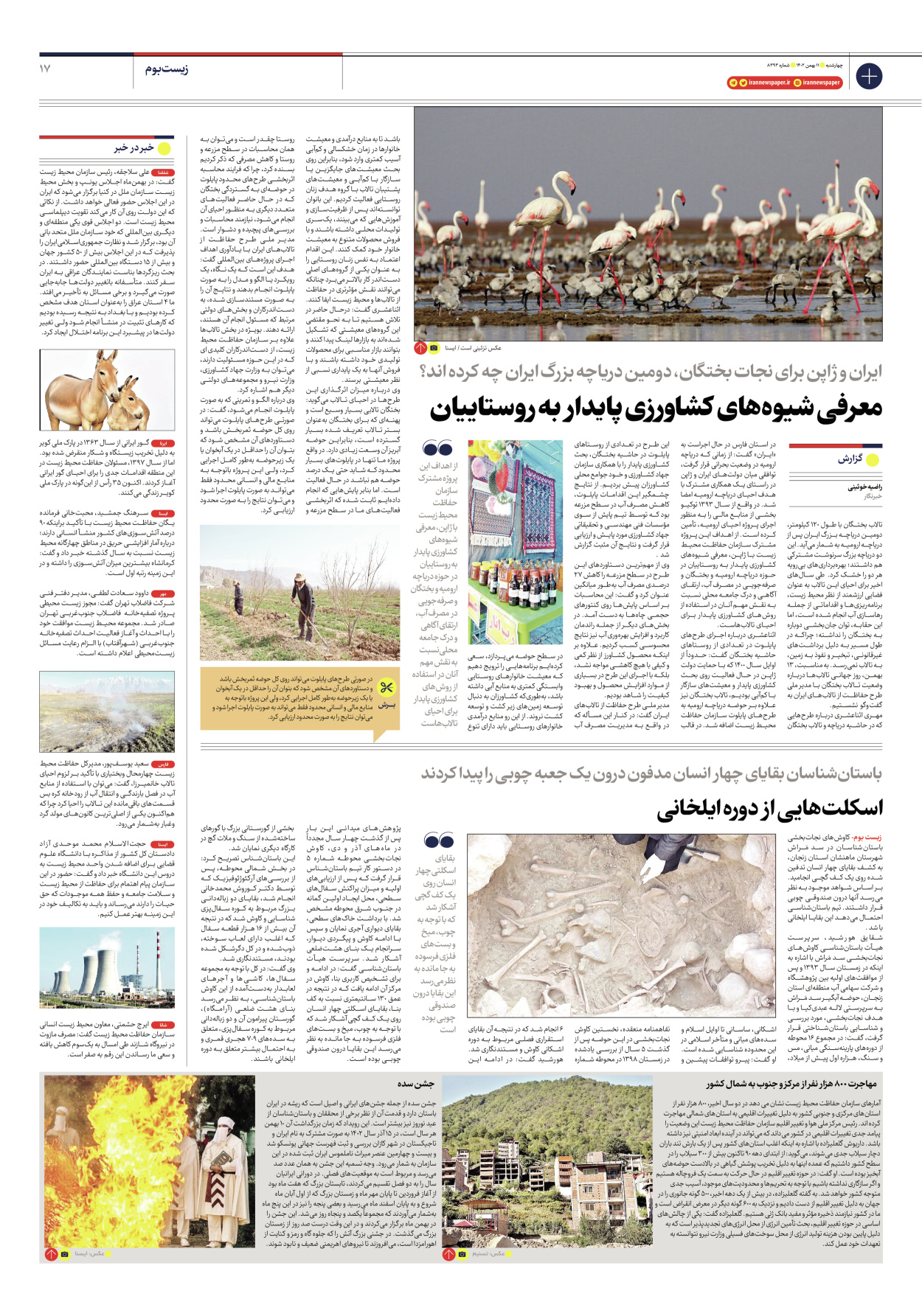 روزنامه ایران - شماره هشت هزار و سیصد و نود و سه - ۱۱ بهمن ۱۴۰۲ - صفحه ۱۷
