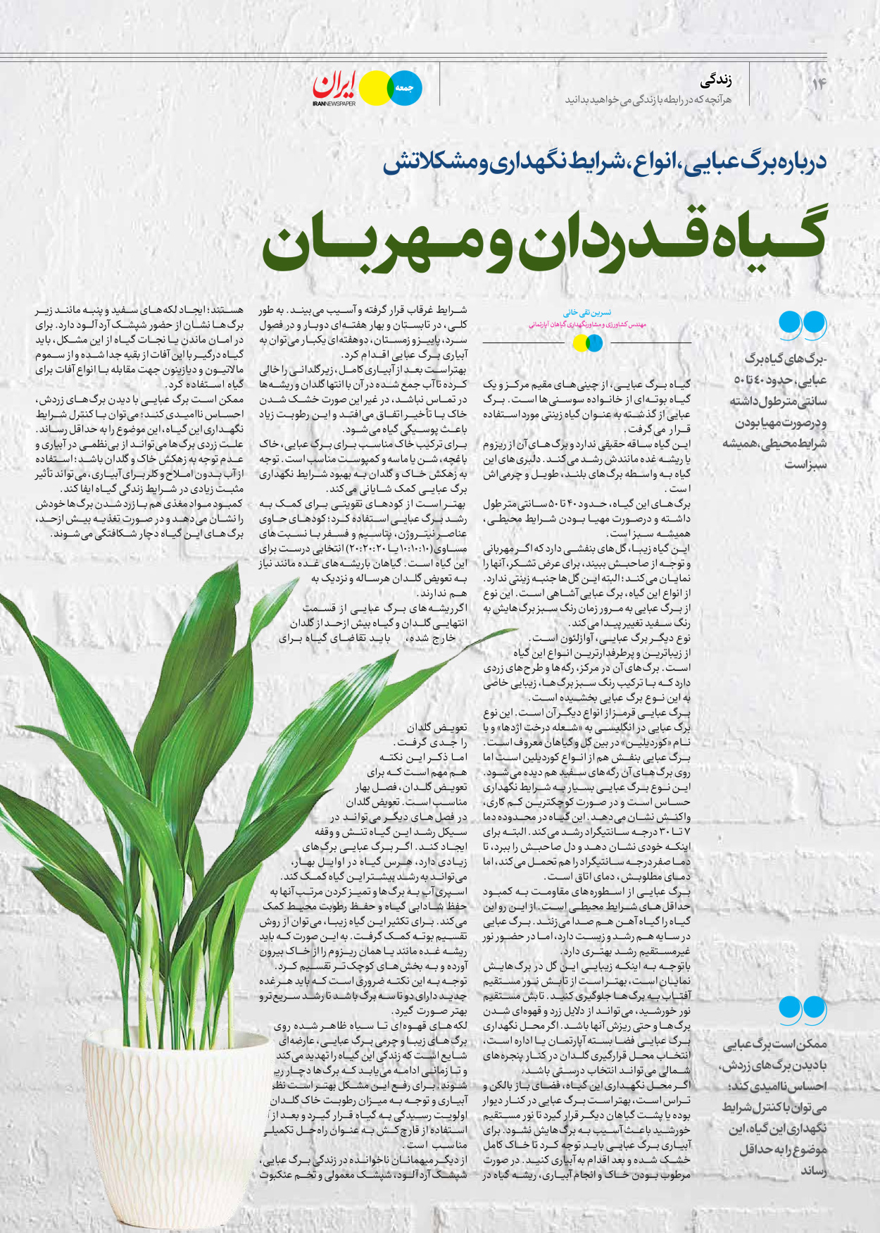 روزنامه ایران - ویژه نامه جمعه ۵۹ - ۱۲ بهمن ۱۴۰۲ - صفحه ۱۴