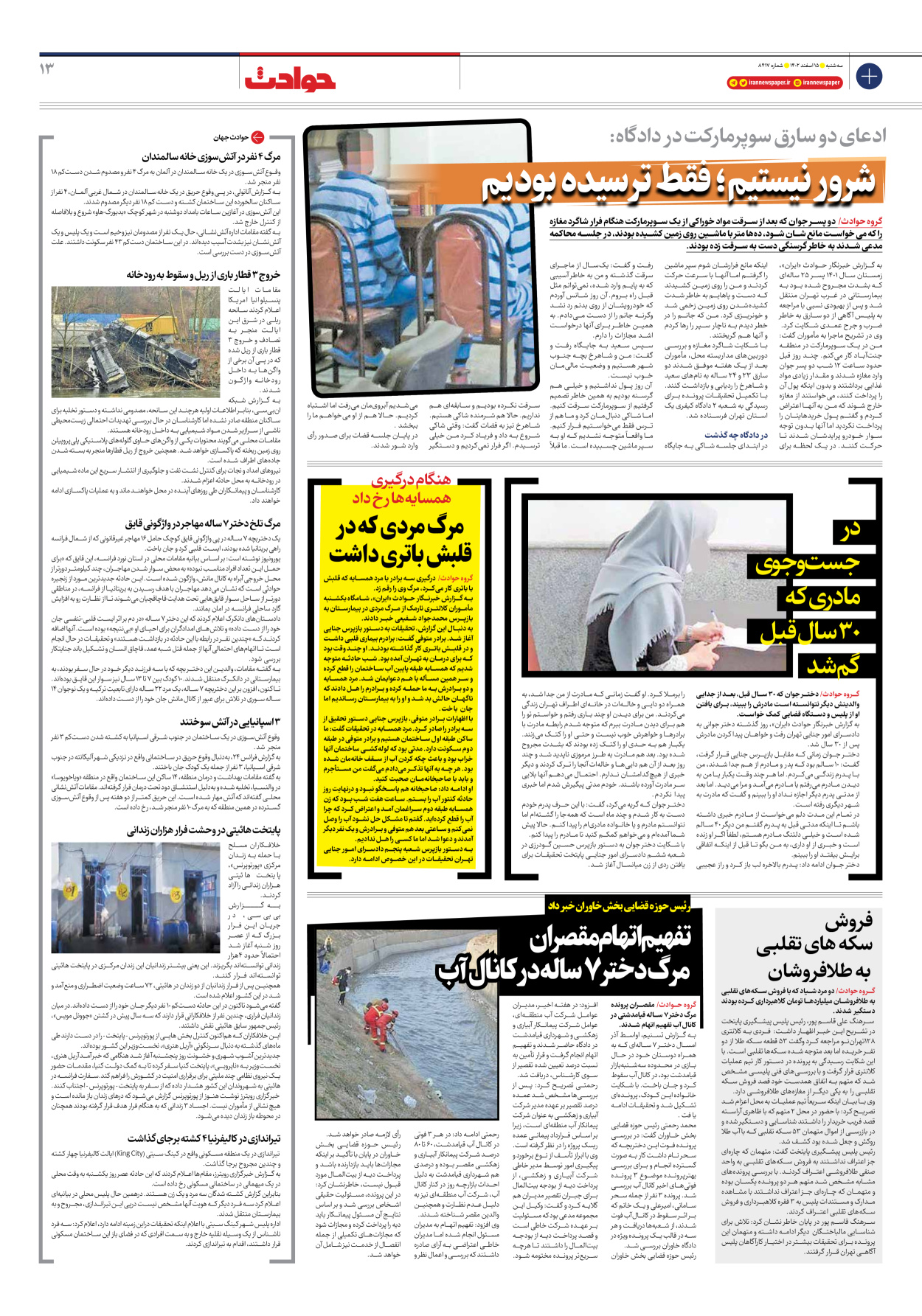 روزنامه ایران - شماره هشت هزار و چهارصد و هفده - ۱۵ اسفند ۱۴۰۲ - صفحه ۱۳