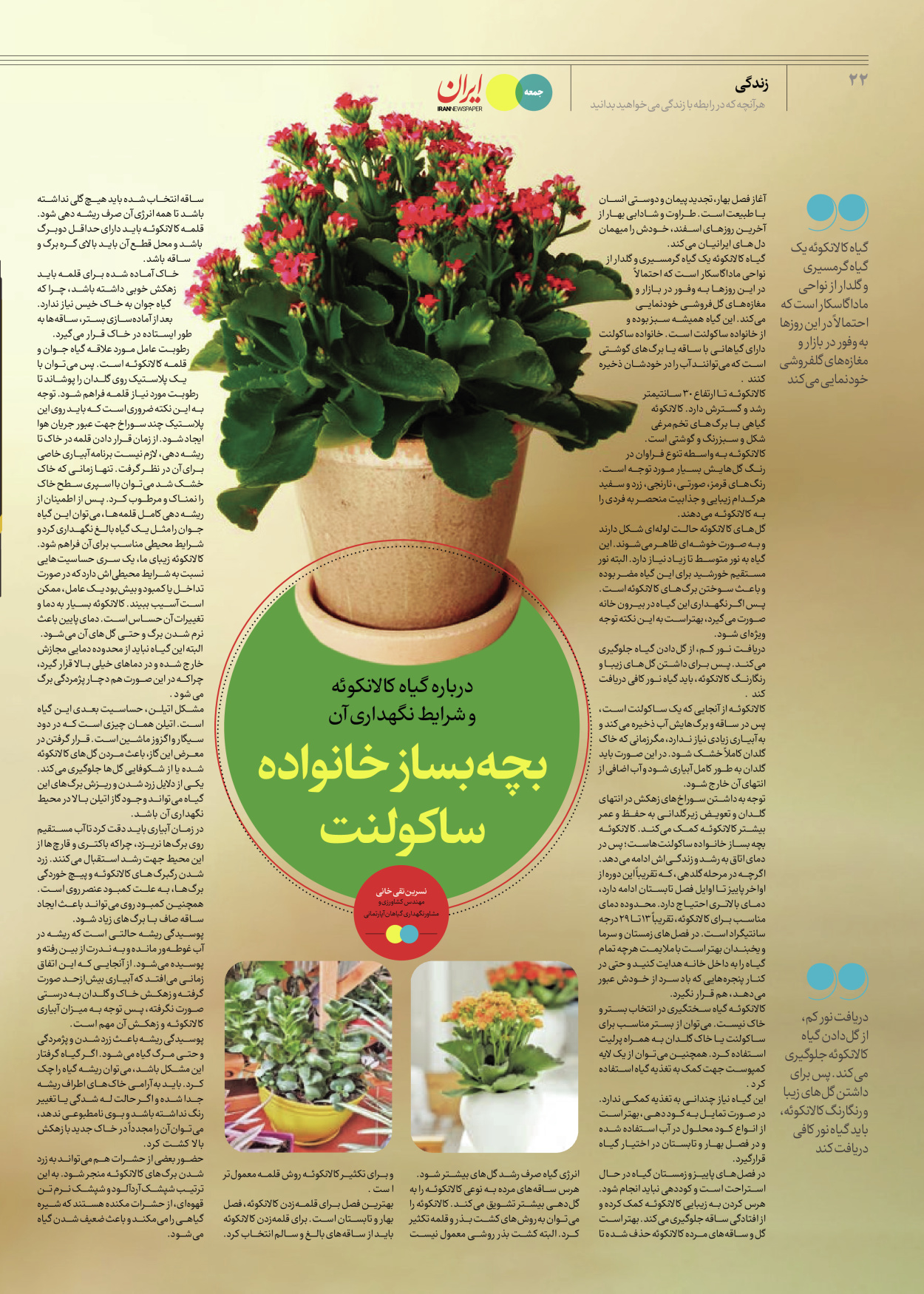 روزنامه ایران - ویژه نامه جمعه۶۴ - ۲۴ اسفند ۱۴۰۲ - صفحه ۲۲