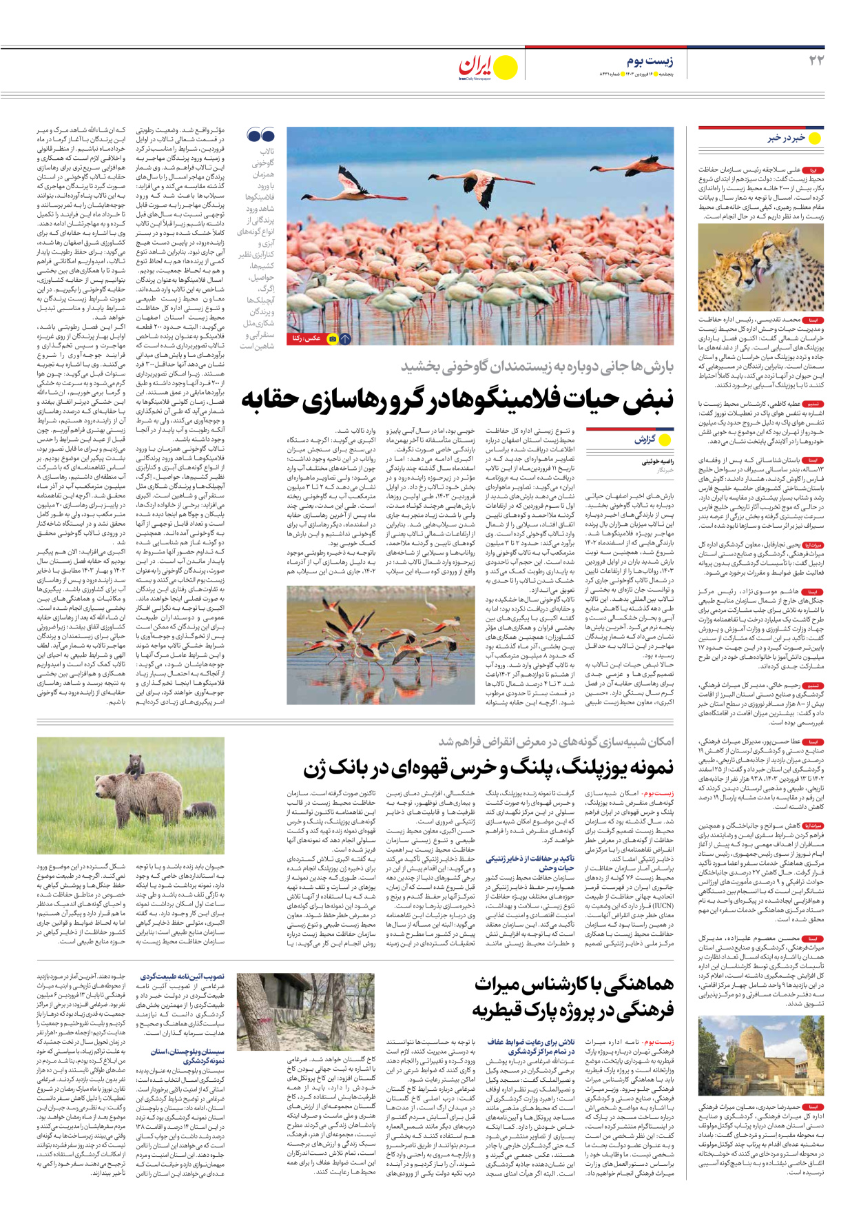 روزنامه ایران - شماره هشت هزار و چهارصد و سی و یک - ۱۶ فروردین ۱۴۰۳ - صفحه ۲۲