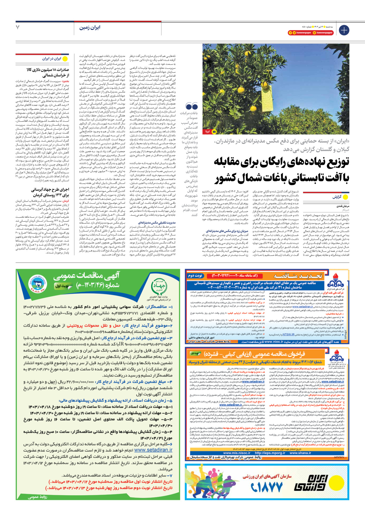 روزنامه ایران - شماره هشت هزار و پانصد - ۱۲ تیر ۱۴۰۳ - صفحه ۷