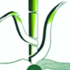 شرکت کشت و صنعت نیشکر دهخدا